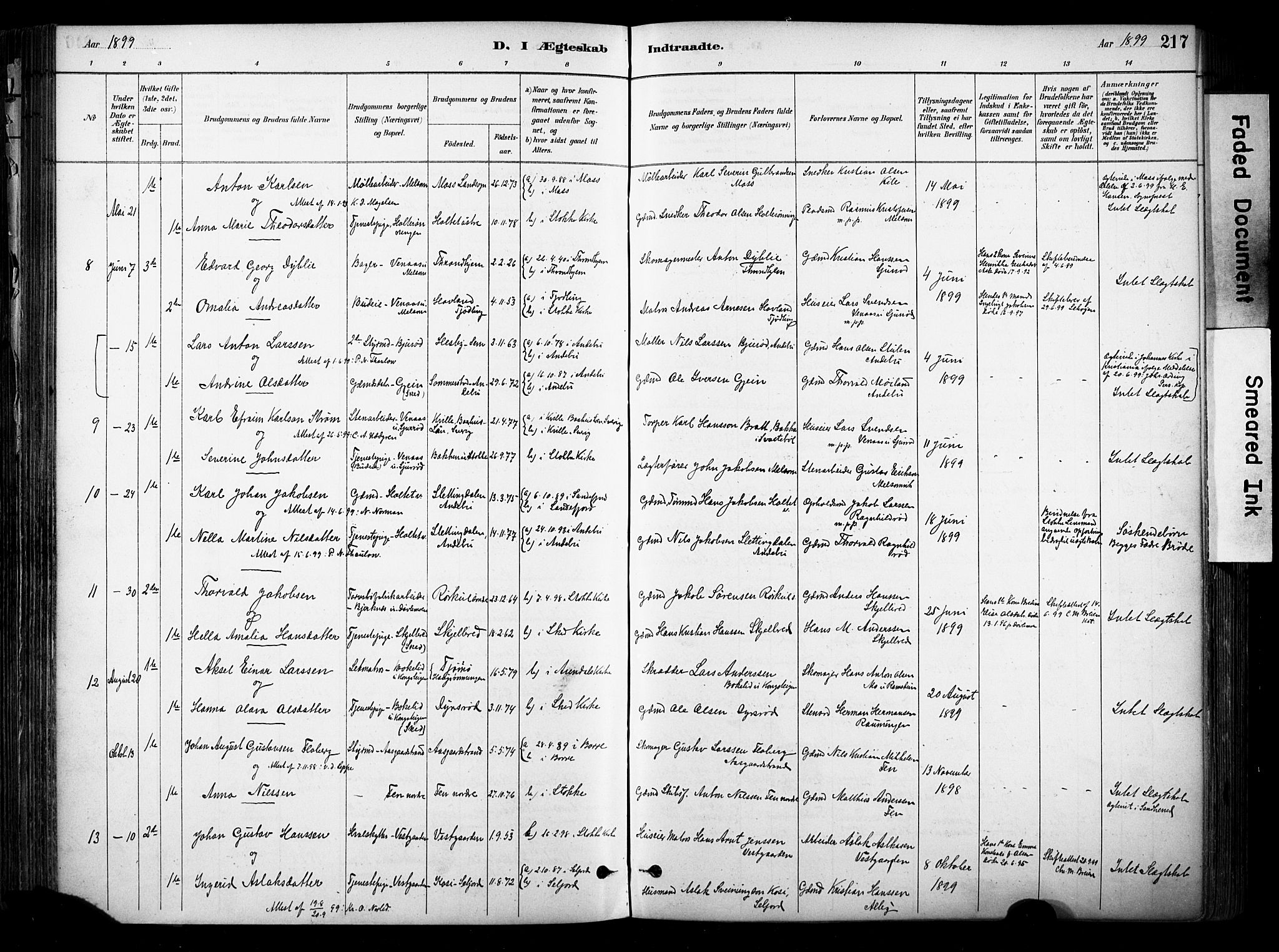 Stokke kirkebøker, AV/SAKO-A-320/F/Fa/L0010: Parish register (official) no. I 10, 1884-1903, p. 217