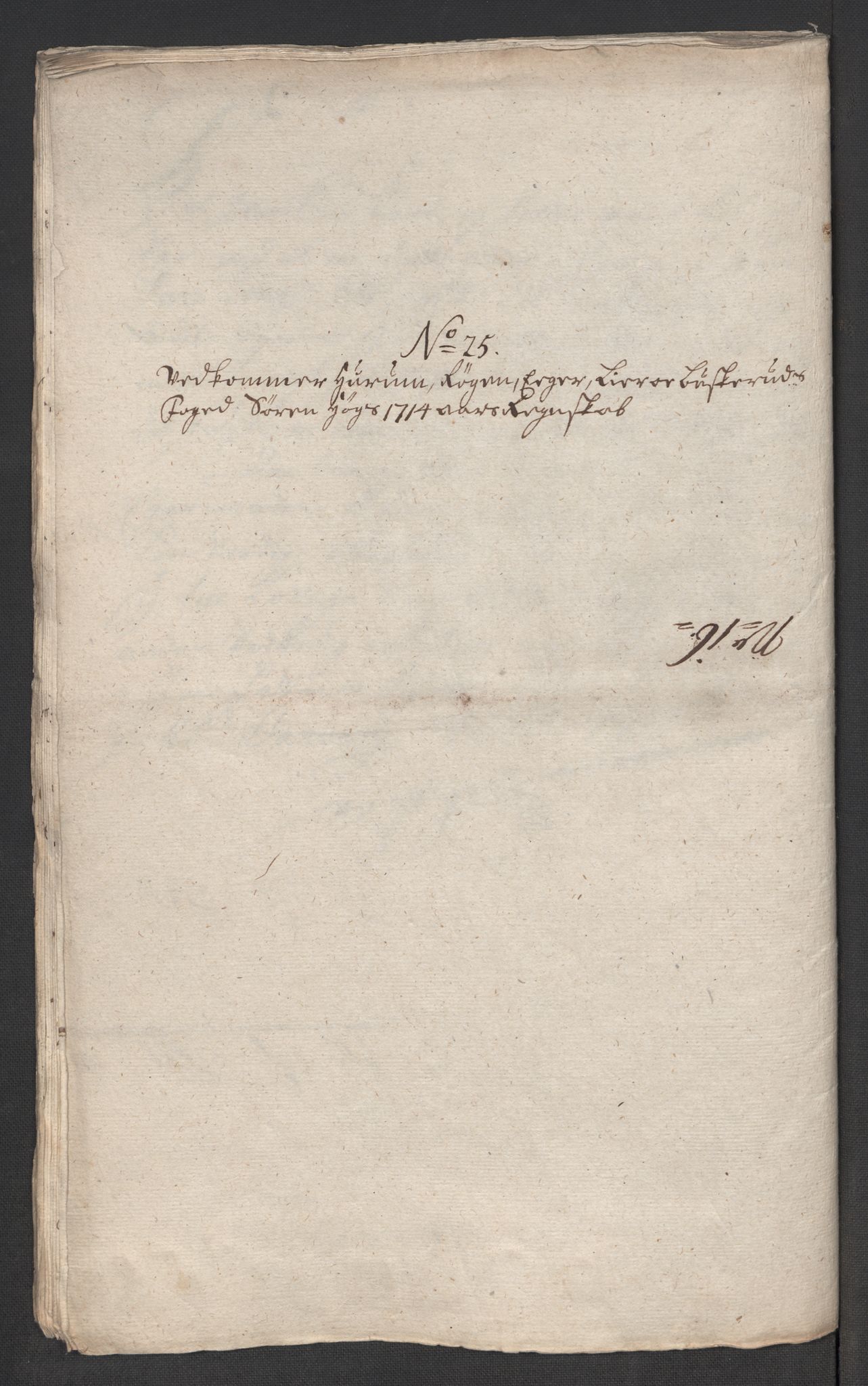 Rentekammeret inntil 1814, Reviderte regnskaper, Fogderegnskap, AV/RA-EA-4092/R31/L1709: Fogderegnskap Hurum, Røyken, Eiker, Lier og Buskerud, 1714, p. 124