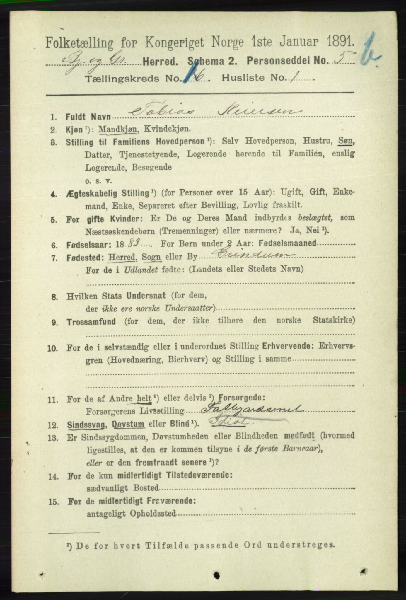 RA, 1891 census for 1024 Bjelland og Grindheim, 1891, p. 779