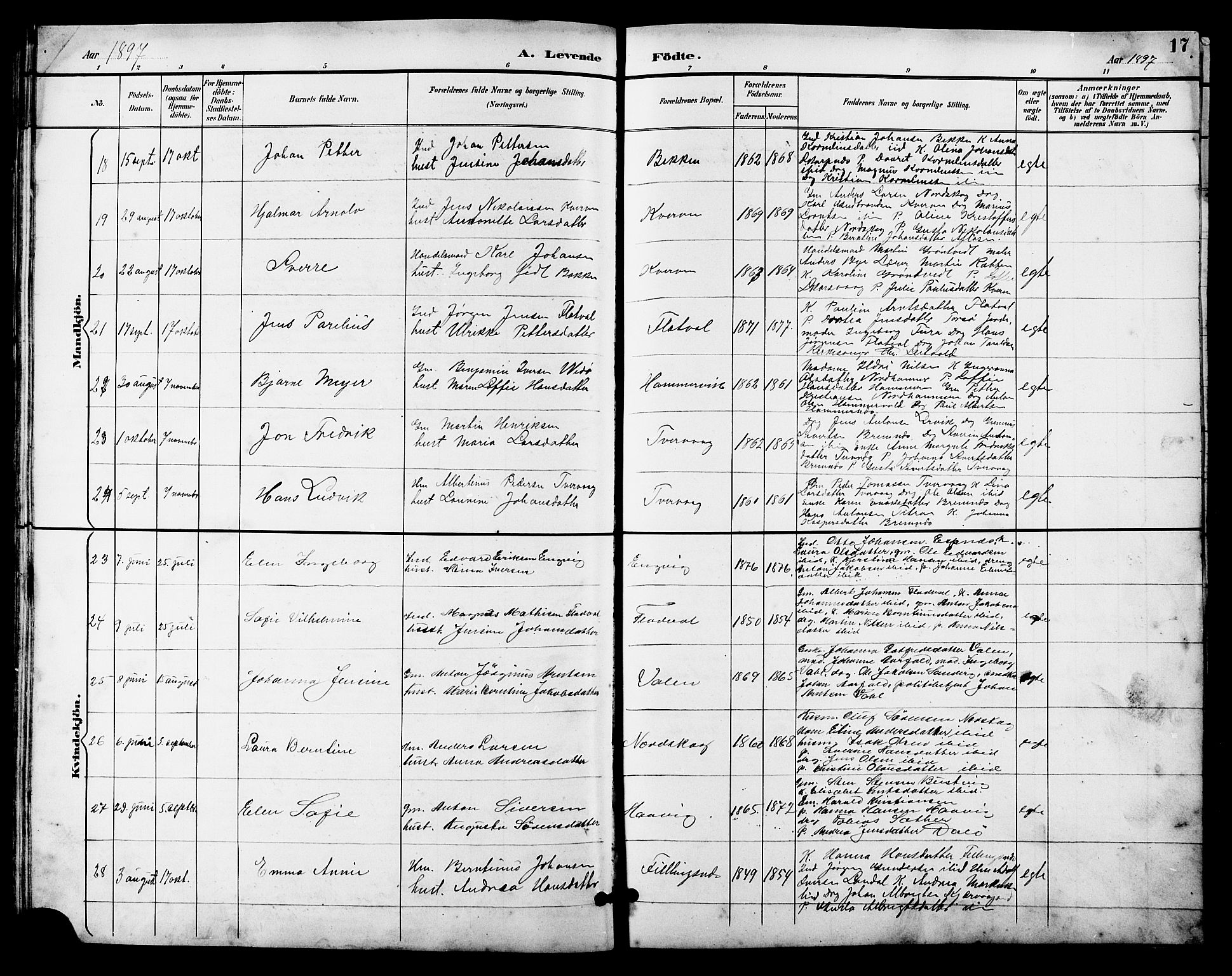 Ministerialprotokoller, klokkerbøker og fødselsregistre - Sør-Trøndelag, SAT/A-1456/641/L0598: Parish register (copy) no. 641C02, 1893-1910, p. 17