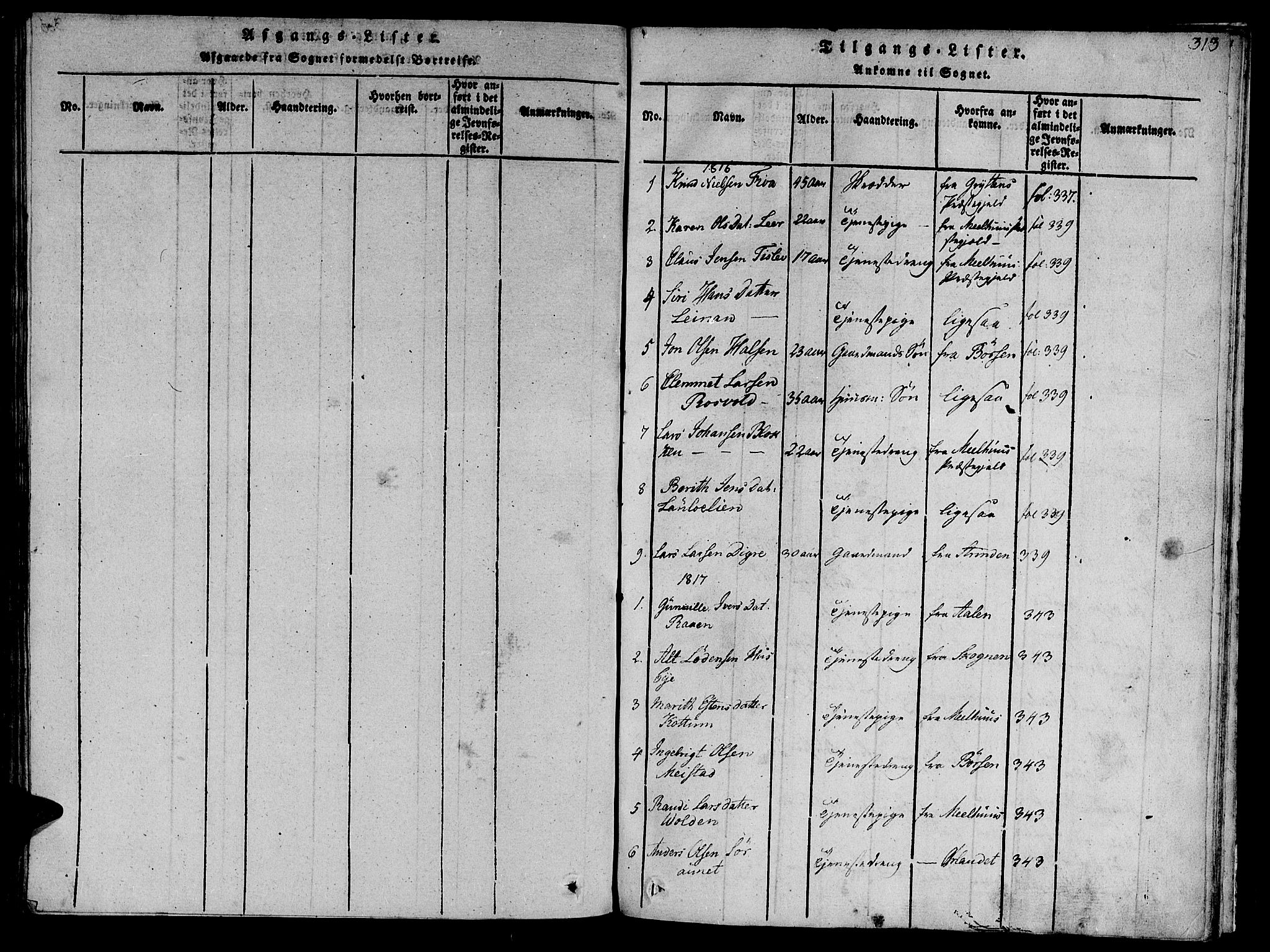 Ministerialprotokoller, klokkerbøker og fødselsregistre - Sør-Trøndelag, SAT/A-1456/612/L0372: Parish register (official) no. 612A06 /1, 1816-1828, p. 313