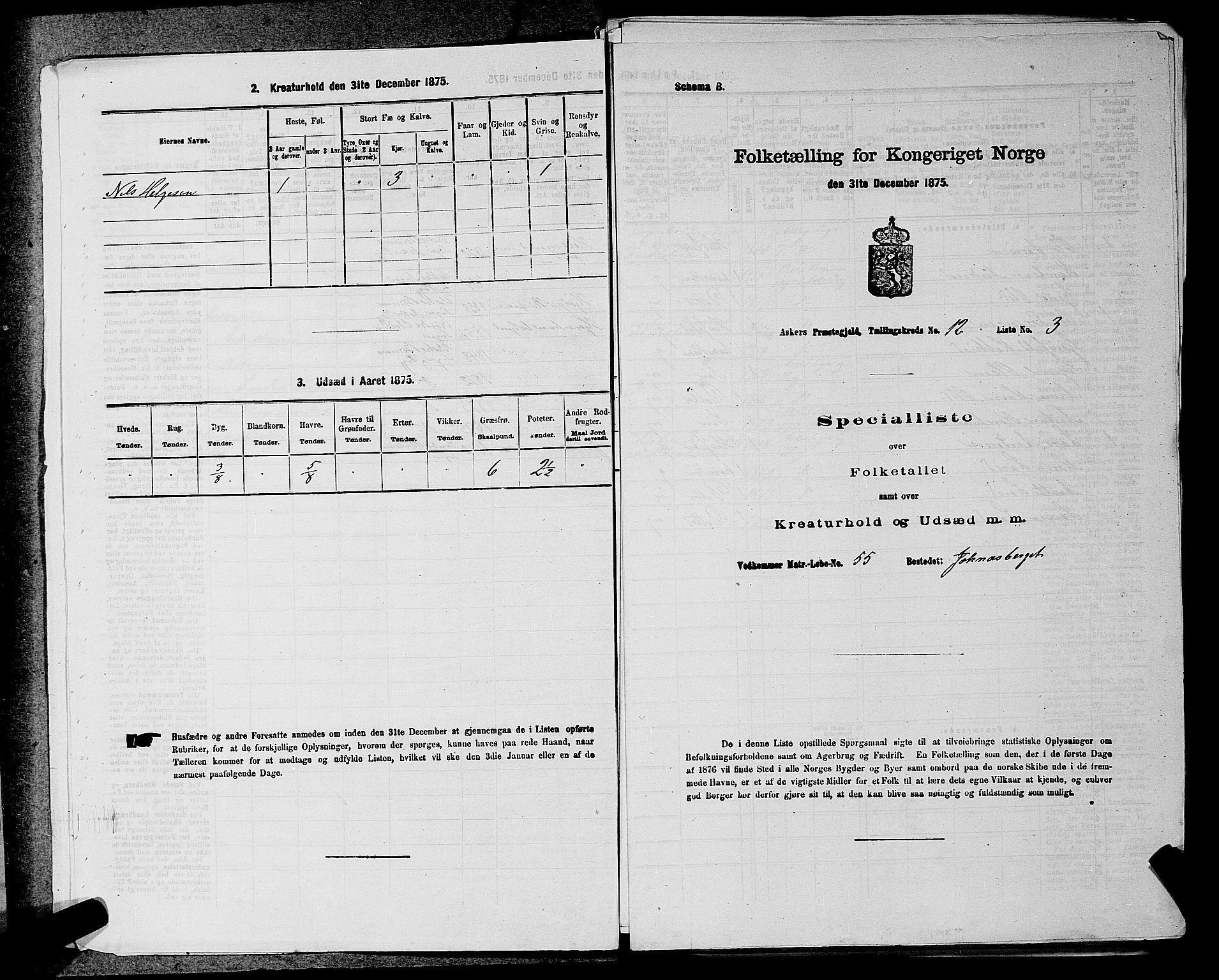 RA, 1875 census for 0220P Asker, 1875, p. 2036