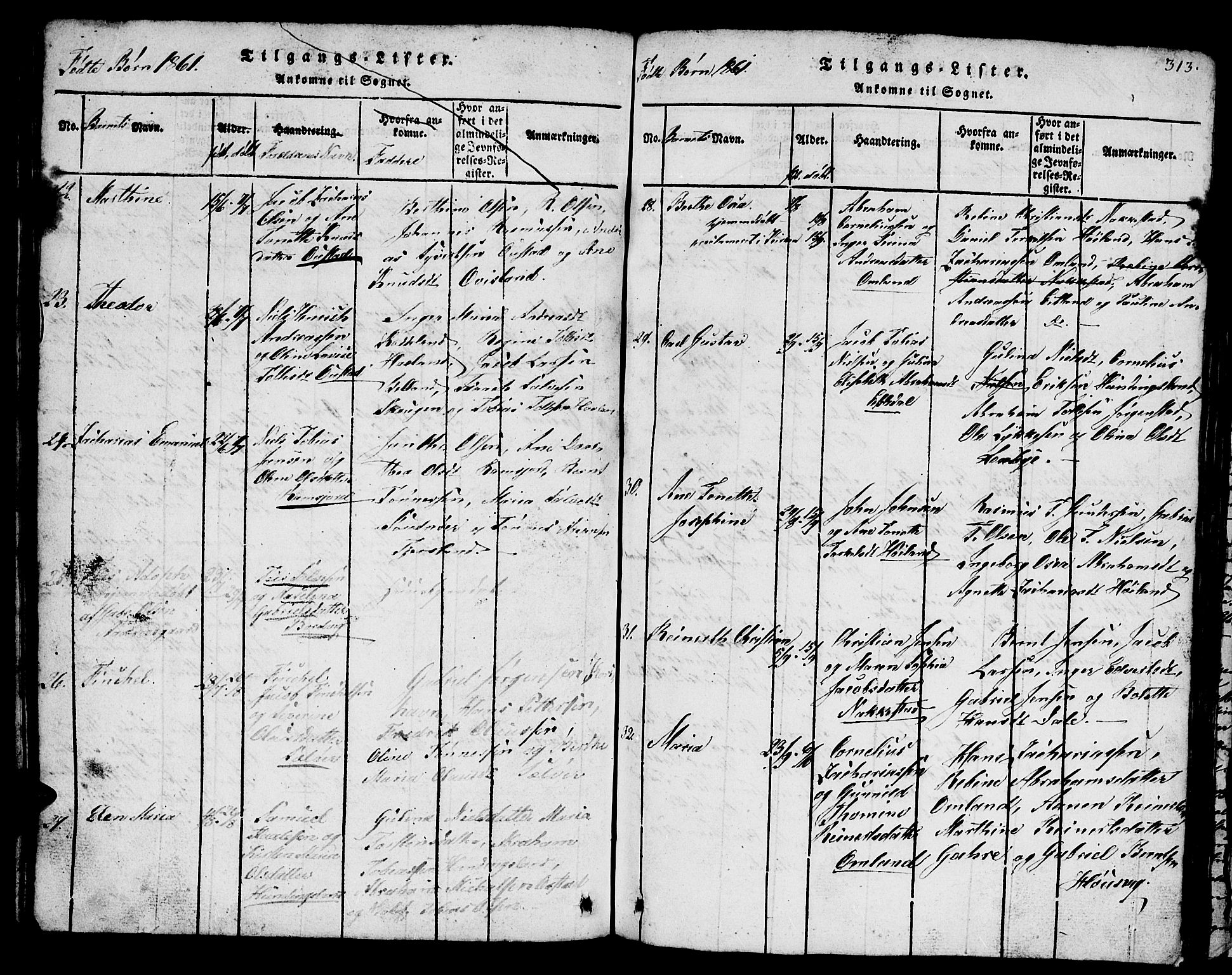 Lyngdal sokneprestkontor, AV/SAK-1111-0029/F/Fb/Fba/L0001: Parish register (copy) no. B 1, 1816-1876, p. 313