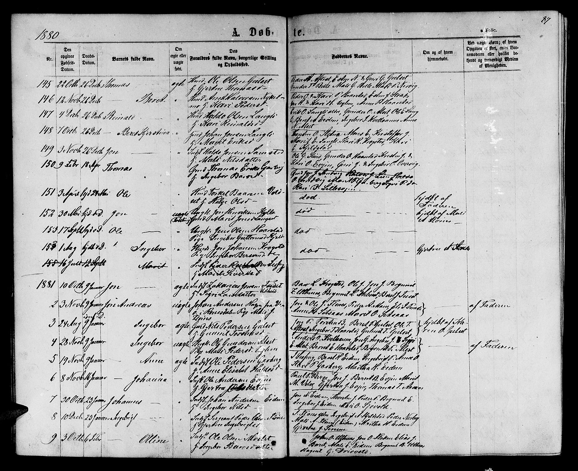 Ministerialprotokoller, klokkerbøker og fødselsregistre - Sør-Trøndelag, AV/SAT-A-1456/695/L1156: Parish register (copy) no. 695C07, 1869-1888, p. 87