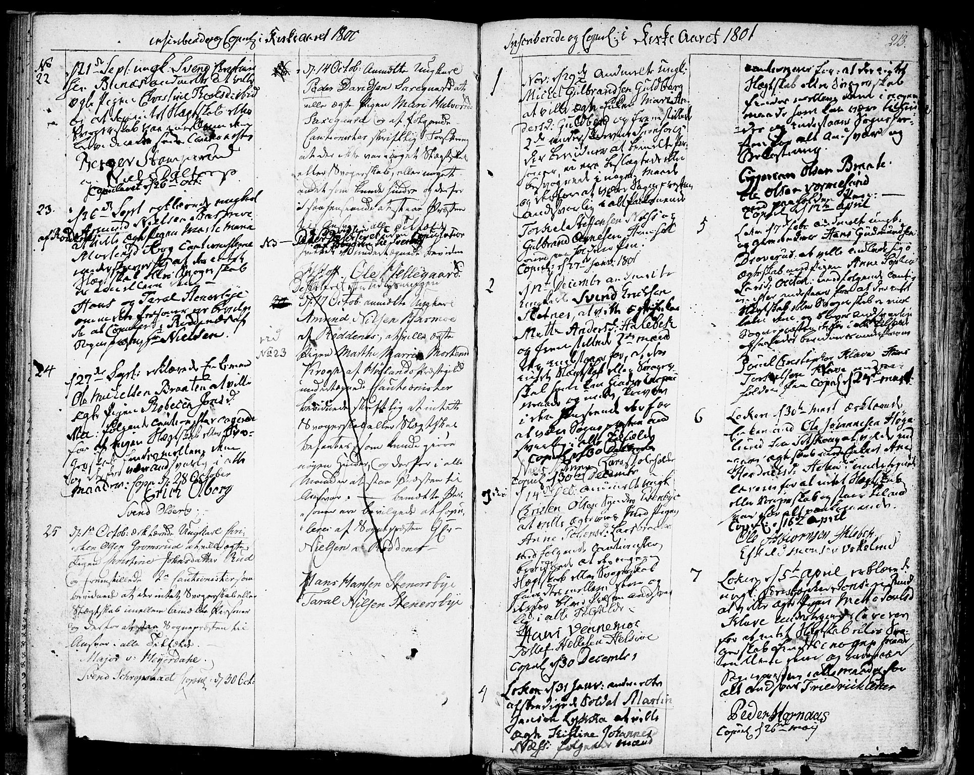 Høland prestekontor Kirkebøker, SAO/A-10346a/F/Fa/L0006: Parish register (official) no. I 6, 1794-1814, p. 213