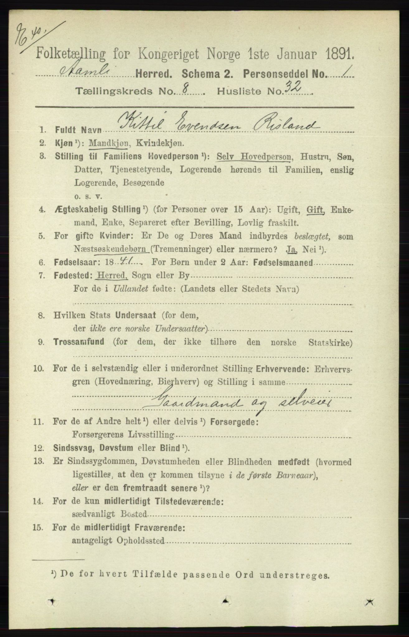 RA, Census 1891 for Nedenes amt: Gjenparter av personsedler for beslektede ektefeller, menn, 1891, p. 364