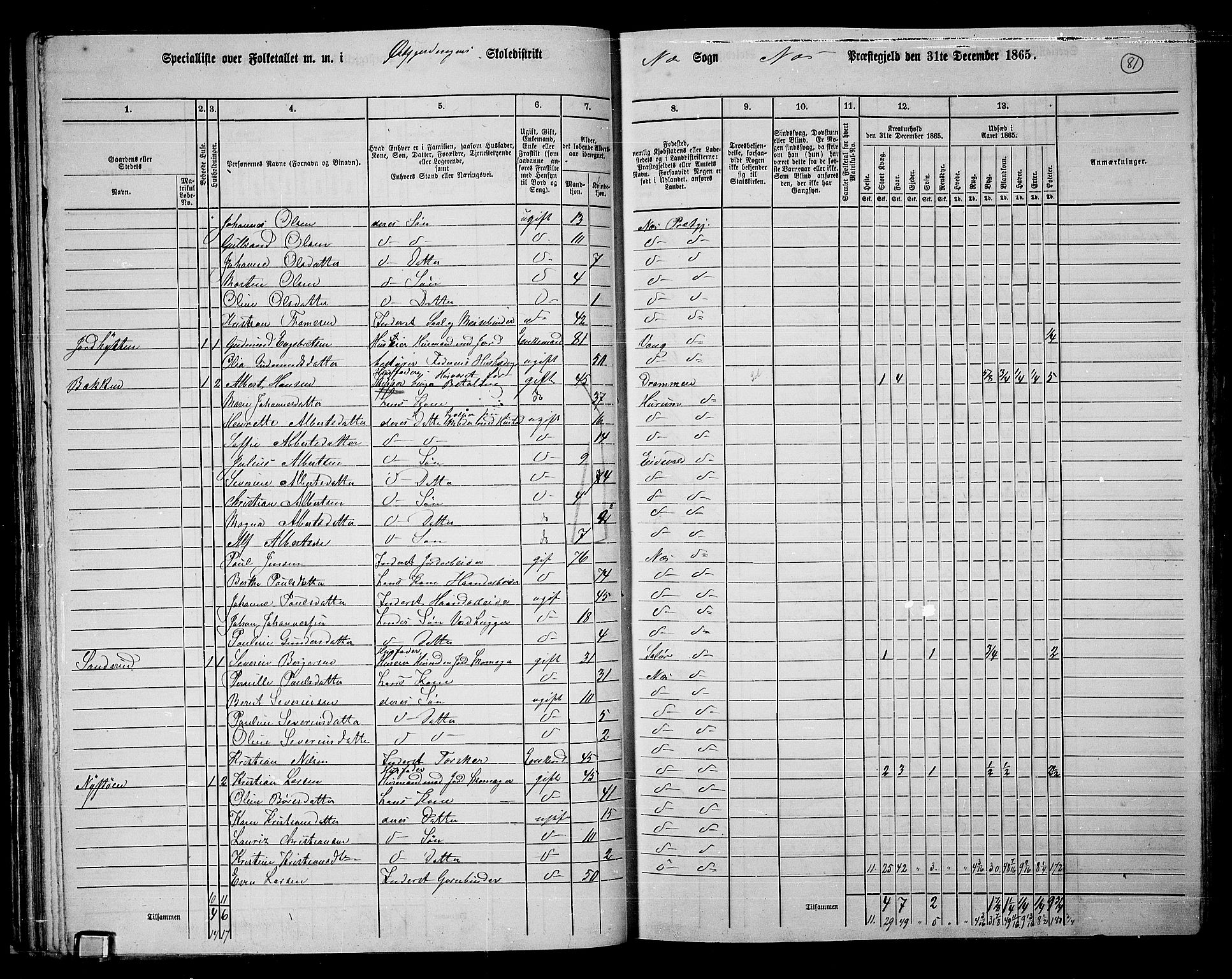 RA, 1865 census for Nes, 1865, p. 69