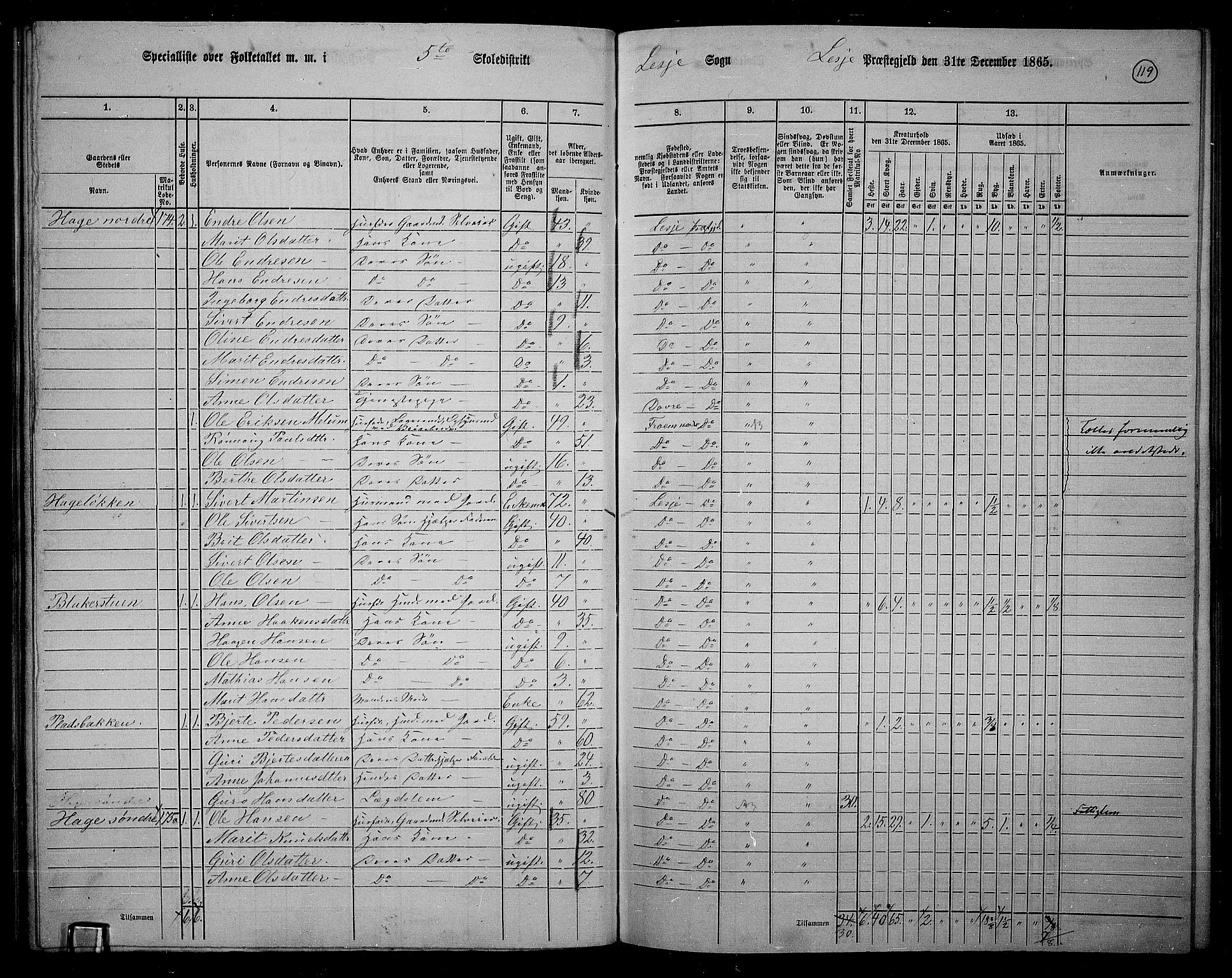 RA, 1865 census for Lesja, 1865, p. 106