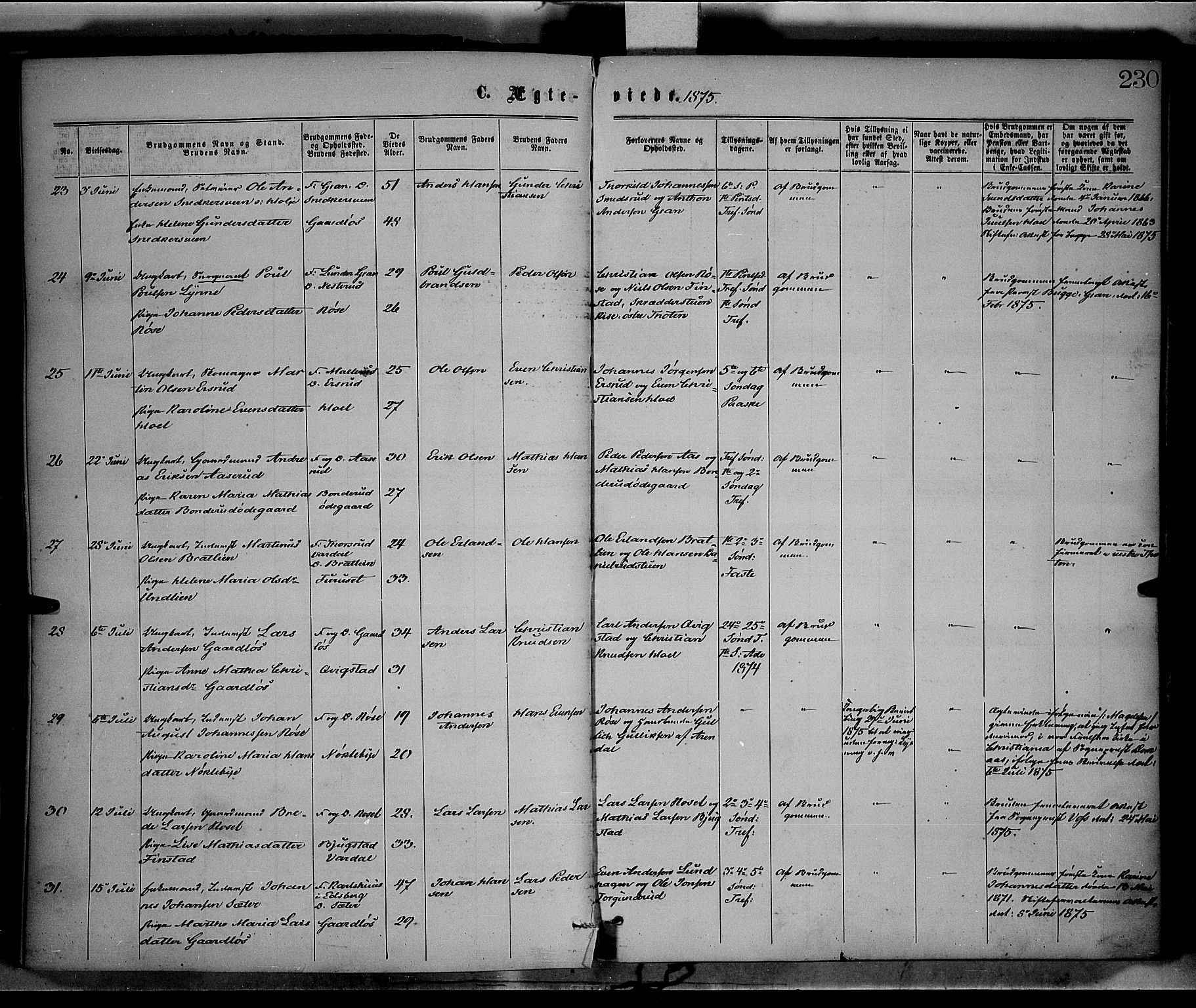 Vestre Toten prestekontor, AV/SAH-PREST-108/H/Ha/Haa/L0008: Parish register (official) no. 8, 1870-1877, p. 230