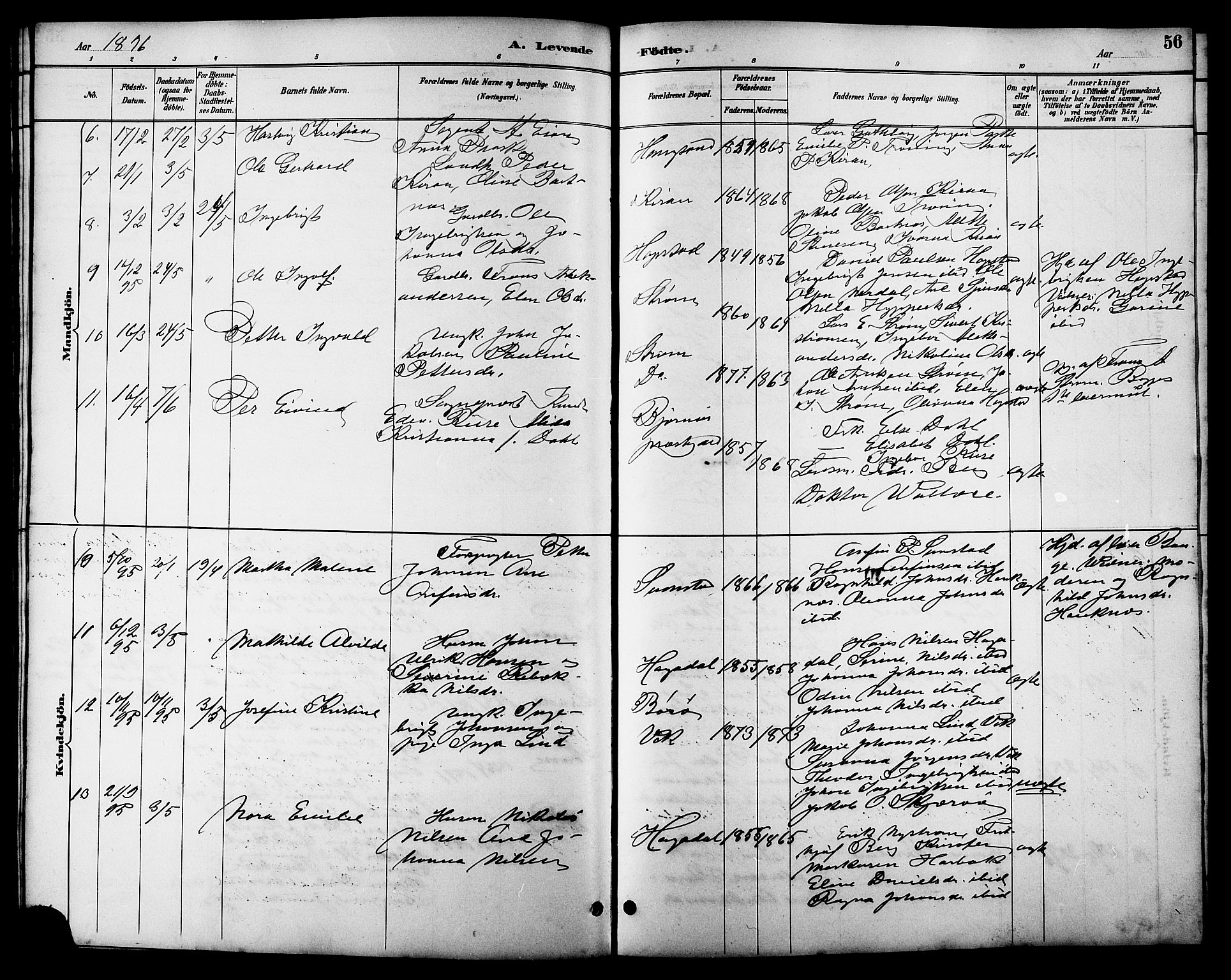 Ministerialprotokoller, klokkerbøker og fødselsregistre - Sør-Trøndelag, SAT/A-1456/657/L0716: Parish register (copy) no. 657C03, 1889-1904, p. 56