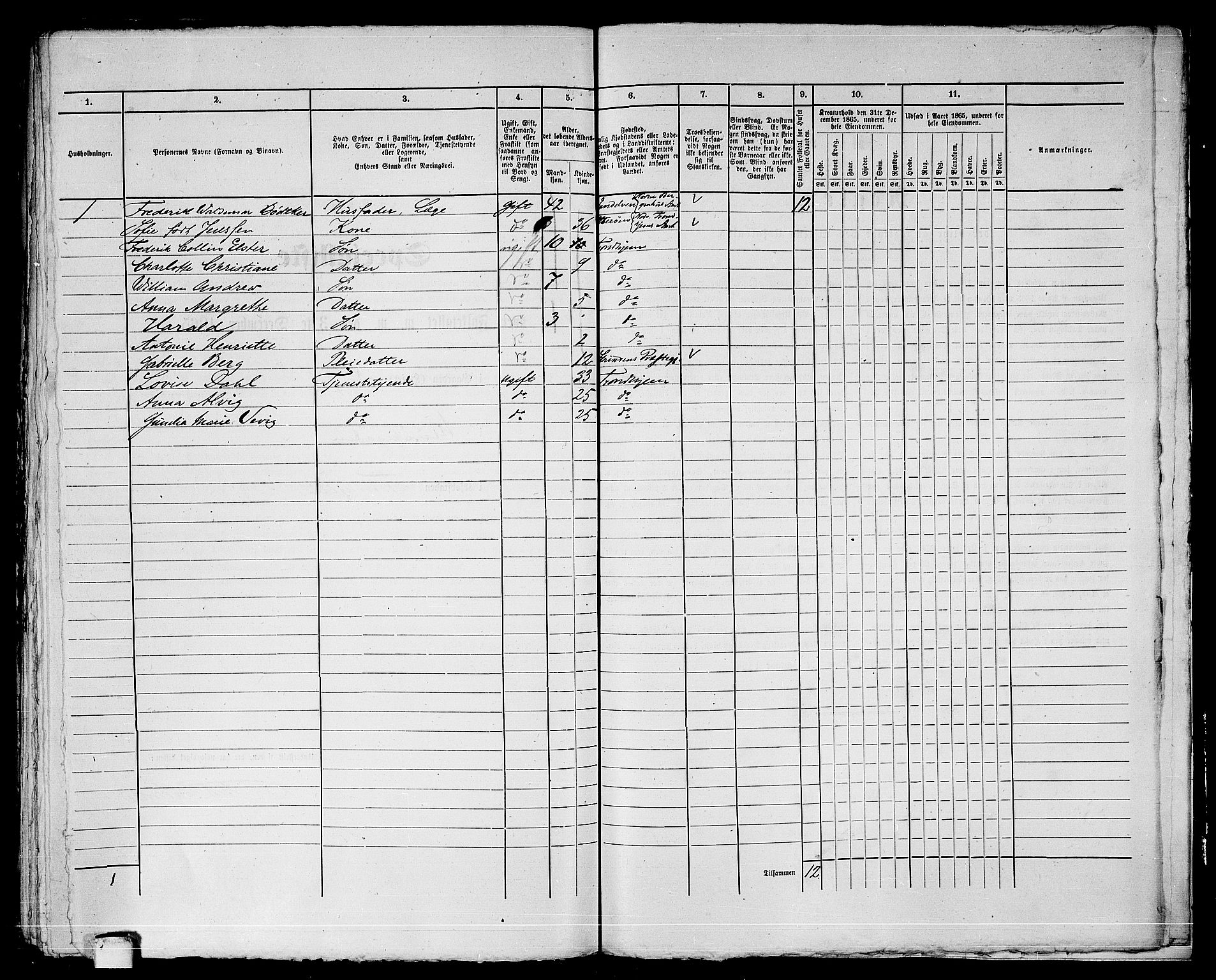 RA, 1865 census for Trondheim, 1865, p. 1033