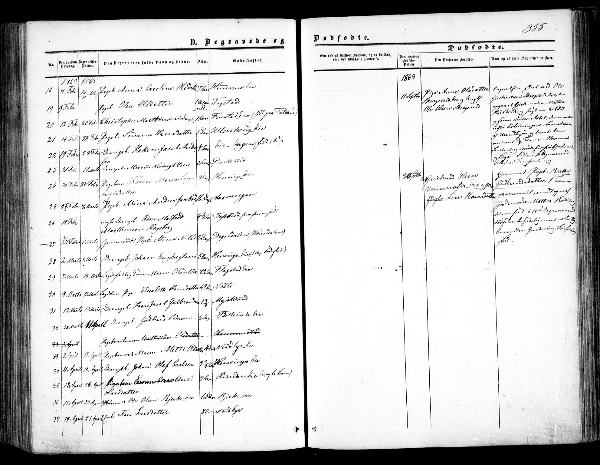 Nes prestekontor Kirkebøker, AV/SAO-A-10410/F/Fa/L0008: Parish register (official) no. I 8, 1859-1874, p. 355