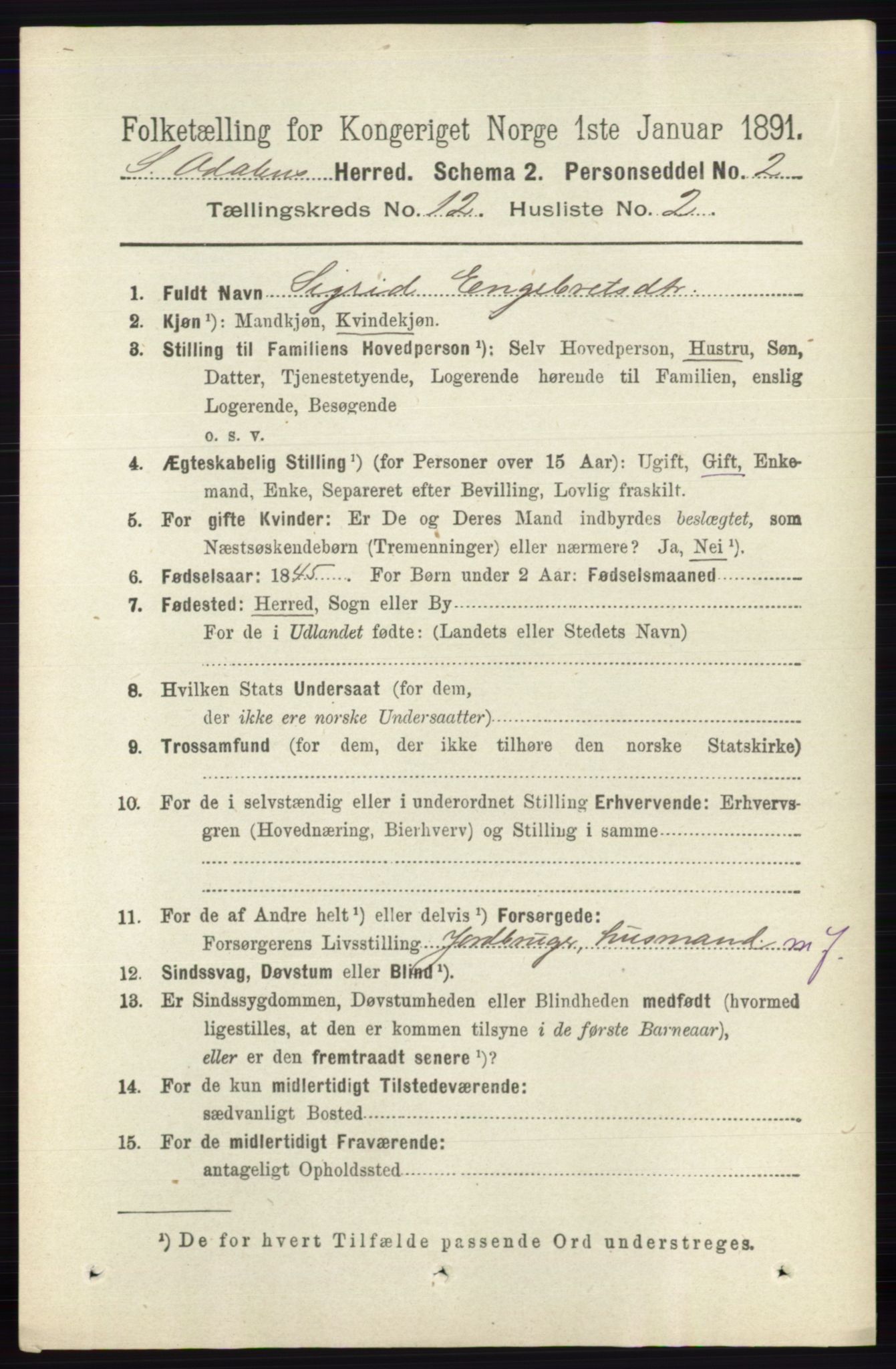 RA, 1891 census for 0419 Sør-Odal, 1891, p. 5395