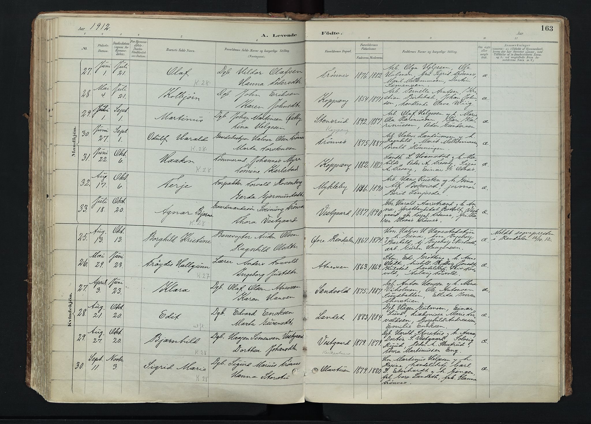 Stor-Elvdal prestekontor, AV/SAH-PREST-052/H/Ha/Haa/L0004: Parish register (official) no. 4, 1890-1922, p. 163