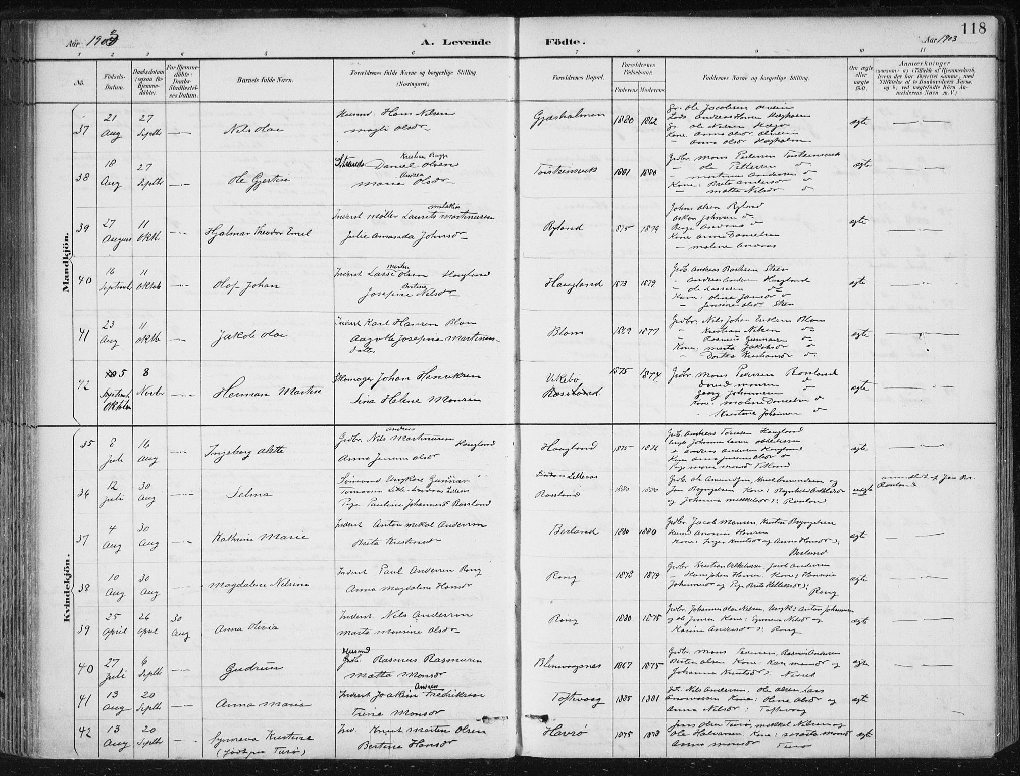 Herdla Sokneprestembete, AV/SAB-A-75701/H/Haa: Parish register (official) no. A 4, 1891-1905, p. 118