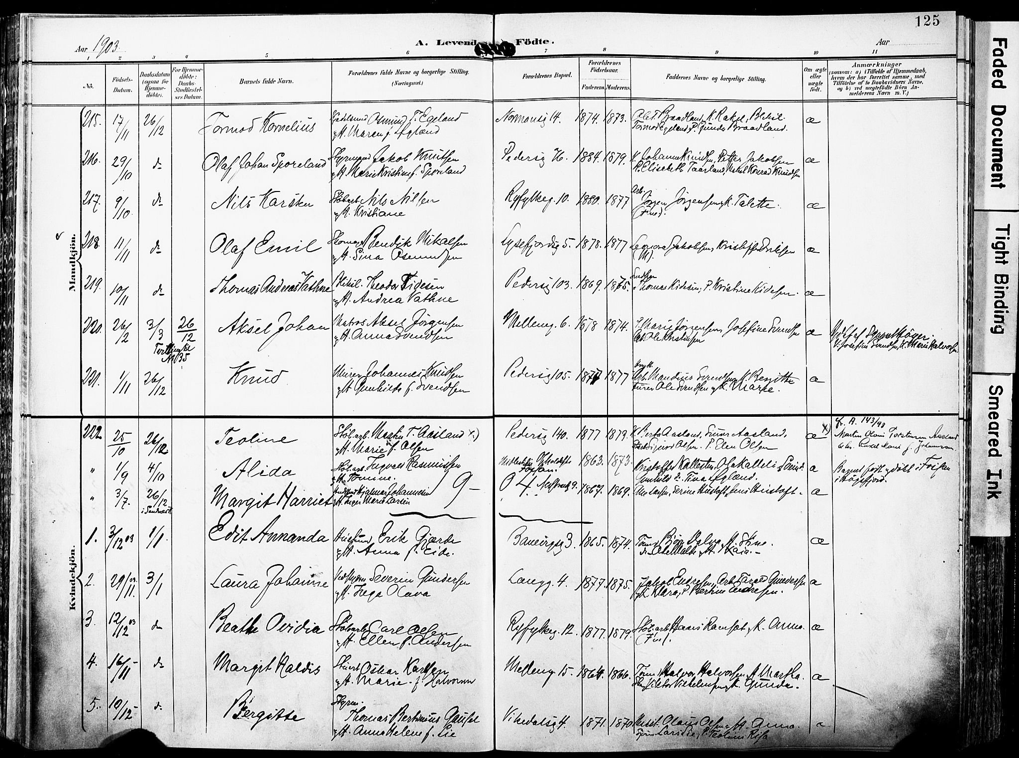 St. Johannes sokneprestkontor, AV/SAST-A-101814/001/30/30BA/L0007: Parish register (official) no. A 7, 1900-1910, p. 125