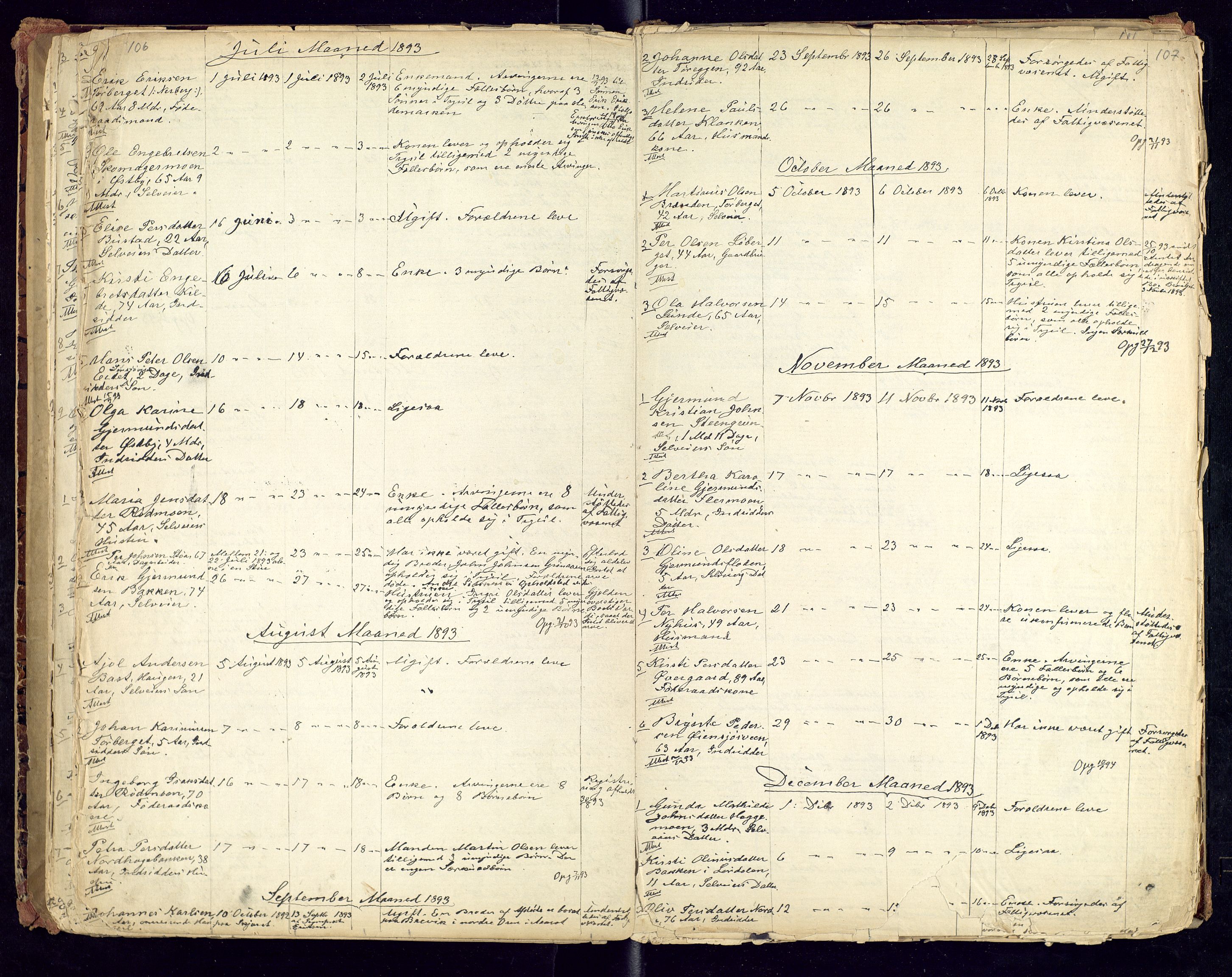 Trysil lensmannskontor, AV/SAH-LHT-026/H/Ha/L0001: Dødsfallsprotokoll, 1875-1901, p. 106-107