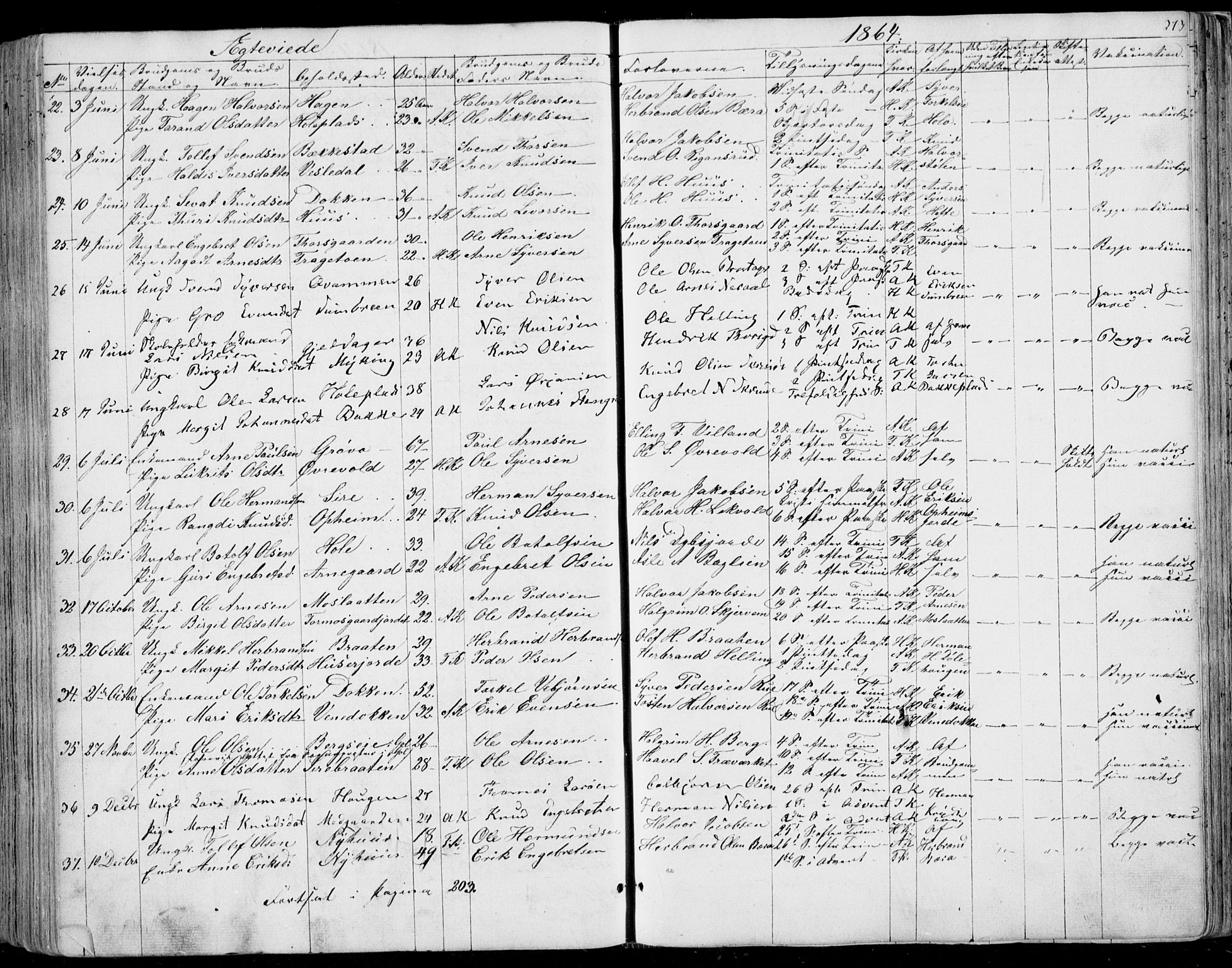 Ål kirkebøker, AV/SAKO-A-249/F/Fa/L0006: Parish register (official) no. I 6, 1849-1864, p. 273