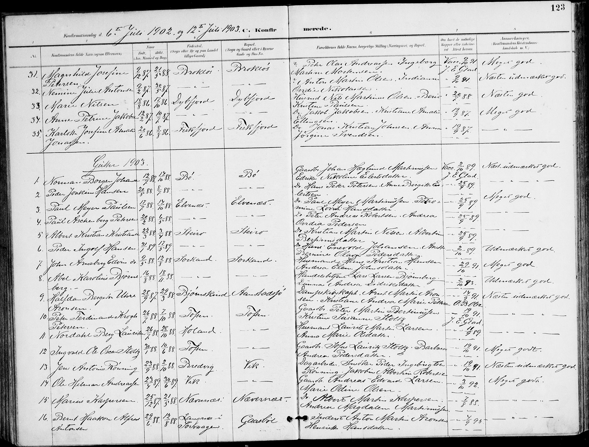 Ministerialprotokoller, klokkerbøker og fødselsregistre - Nordland, AV/SAT-A-1459/895/L1372: Parish register (official) no. 895A07, 1894-1914, p. 123