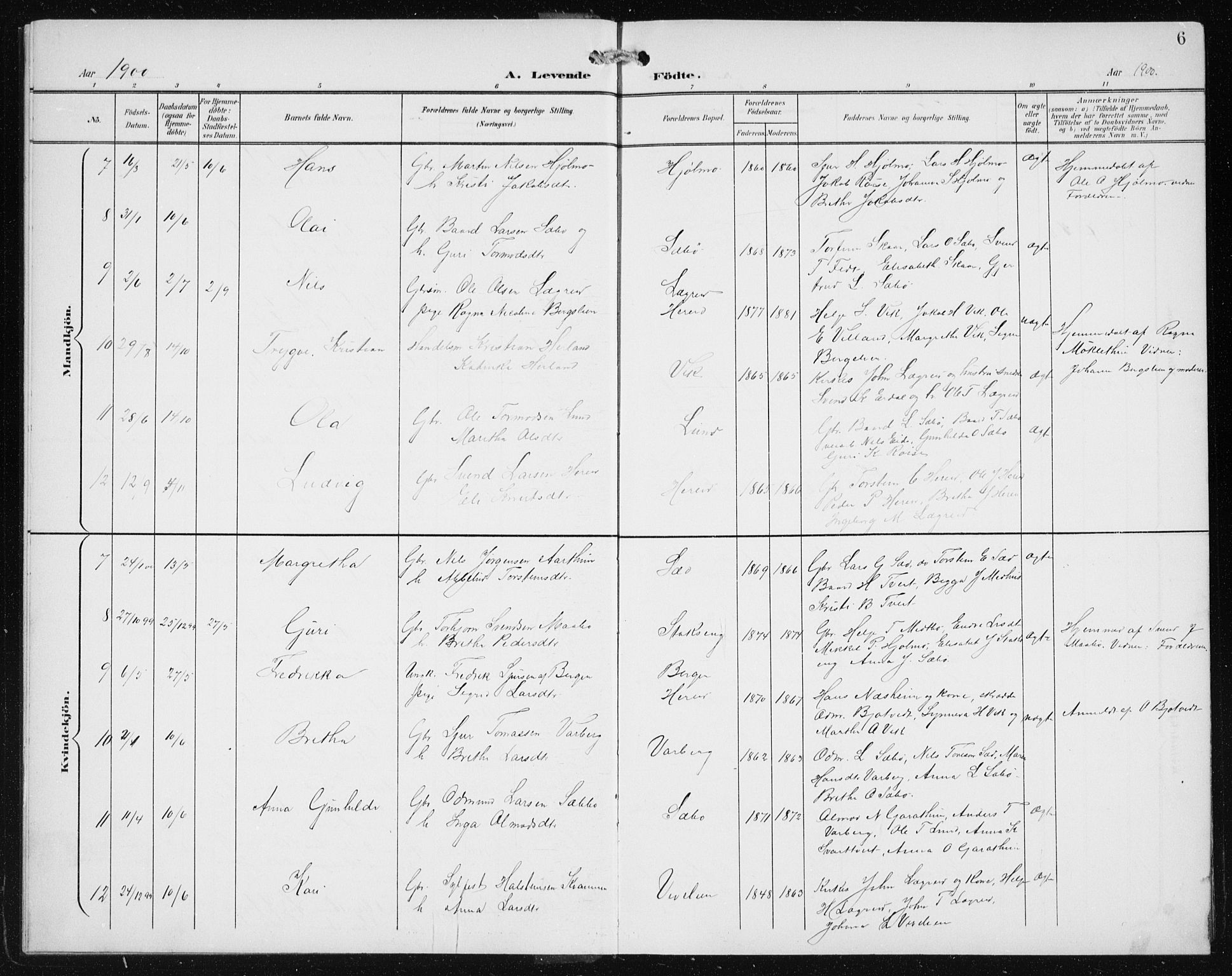Ullensvang sokneprestembete, SAB/A-78701/H/Hab: Parish register (copy) no. C  3, 1899-1932, p. 6