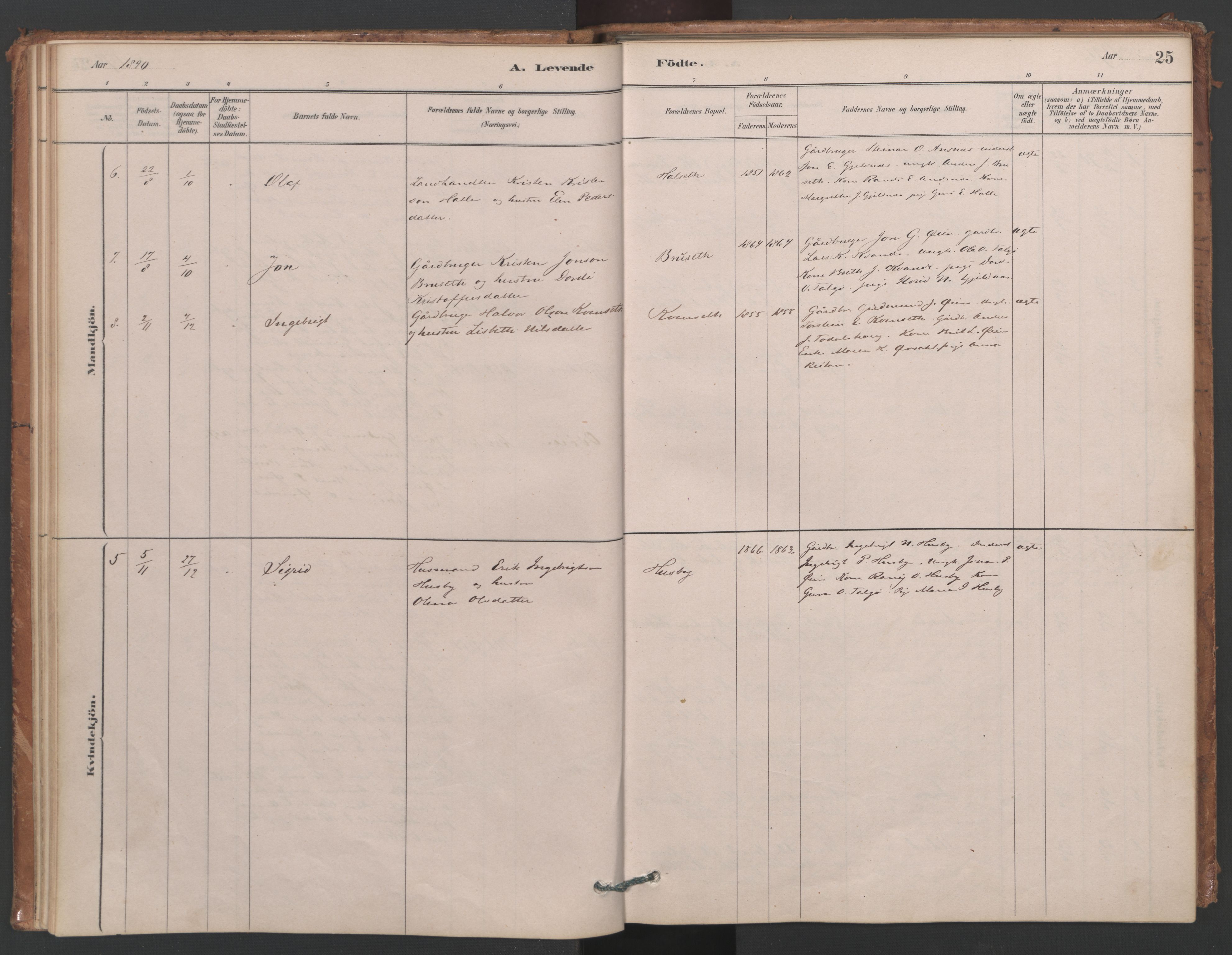 Ministerialprotokoller, klokkerbøker og fødselsregistre - Møre og Romsdal, AV/SAT-A-1454/593/L1034: Parish register (official) no. 593A01, 1879-1911, p. 25