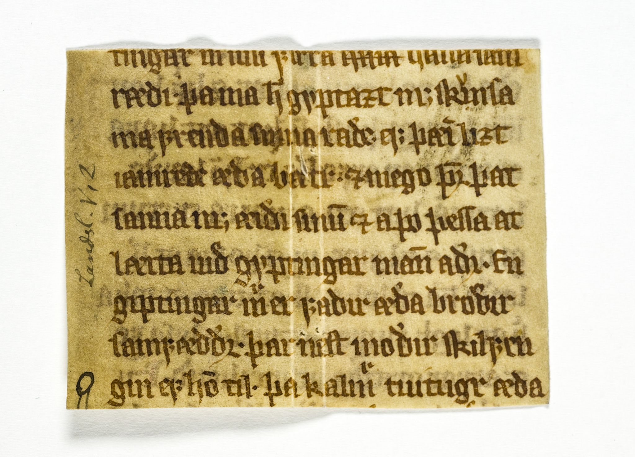 Riksarkivets diplomsamling, AV/RA-EA-5965/F26/L0003: Norrøne membranfragmenter bestand 11-30, 1100-1536, p. 203