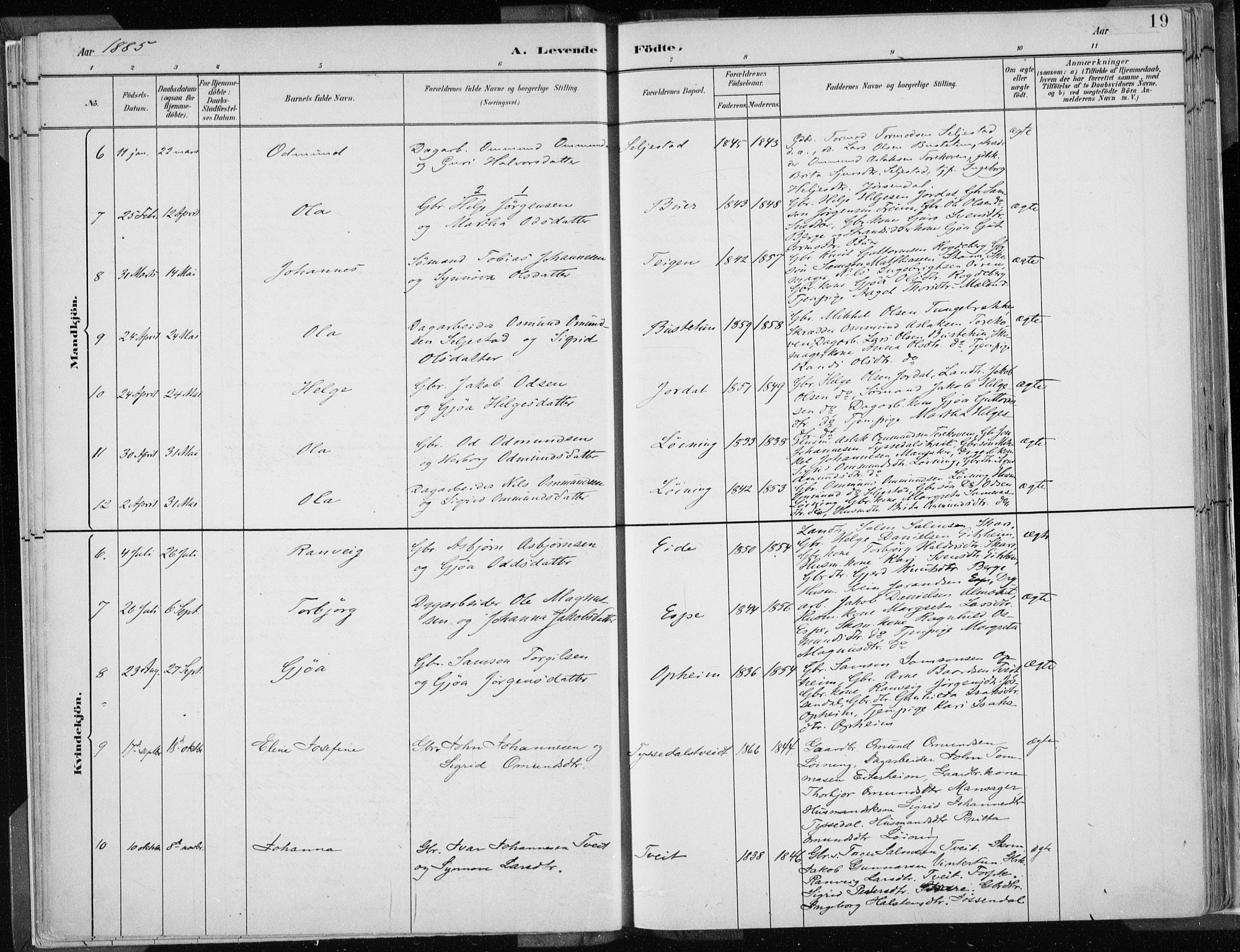 Odda Sokneprestembete, AV/SAB-A-77201/H/Haa: Parish register (official) no. A  3, 1882-1913, p. 19