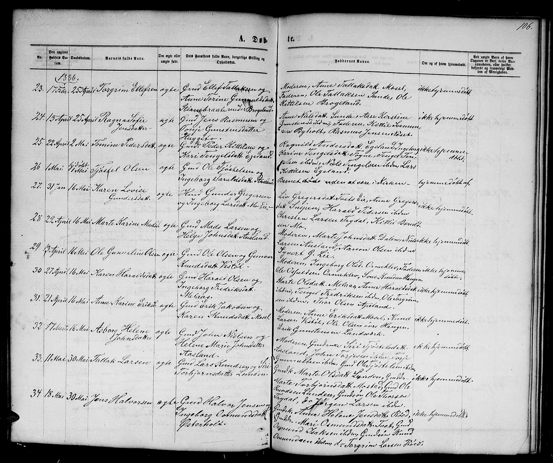 Gjerstad sokneprestkontor, AV/SAK-1111-0014/F/Fb/Fba/L0006: Parish register (copy) no. B 6, 1868-1890, p. 106