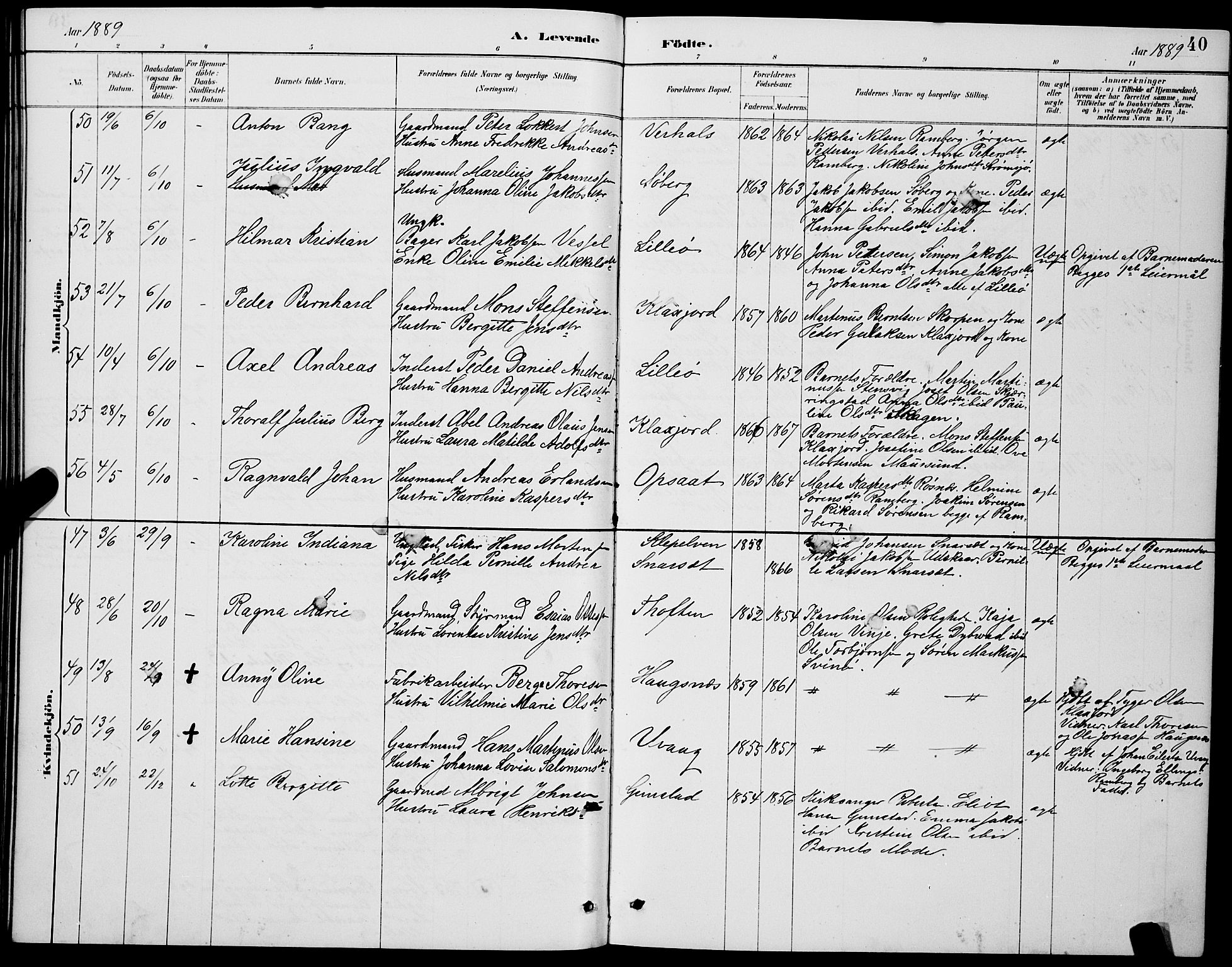 Ministerialprotokoller, klokkerbøker og fødselsregistre - Nordland, AV/SAT-A-1459/891/L1315: Parish register (copy) no. 891C04, 1886-1893, p. 40