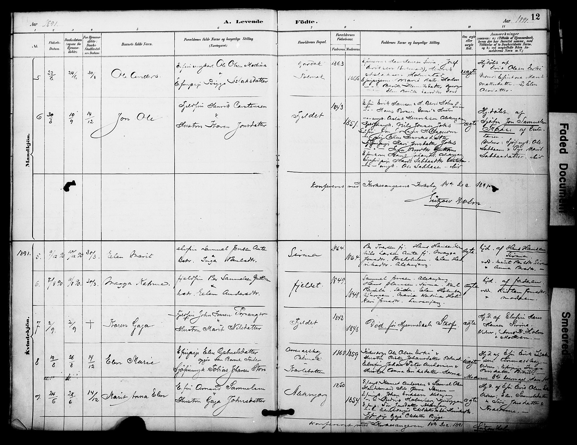 Nesseby sokneprestkontor, SATØ/S-1330/H/Ha/L0005kirke: Parish register (official) no. 5, 1885-1906, p. 12