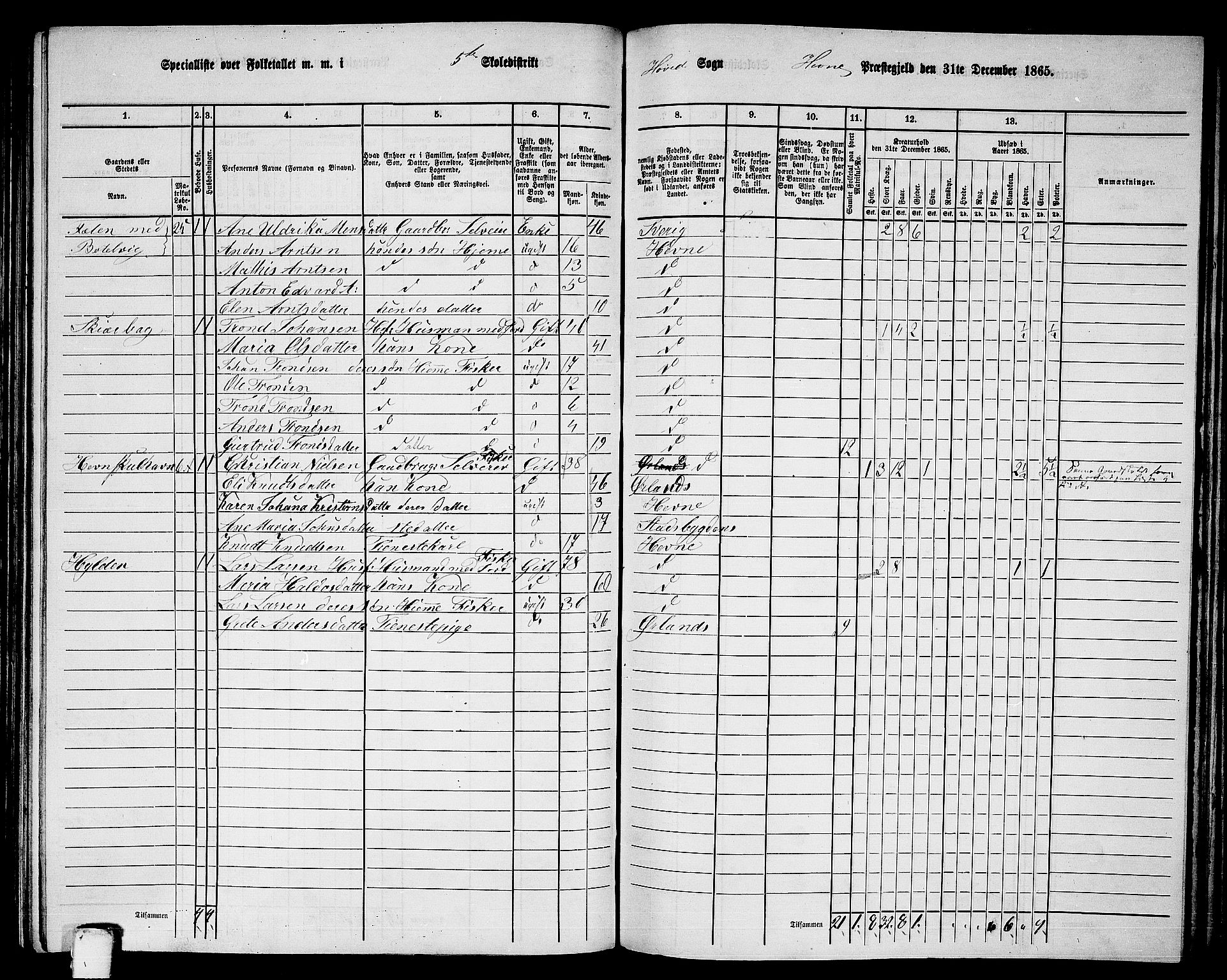 RA, 1865 census for Hemne, 1865, p. 123