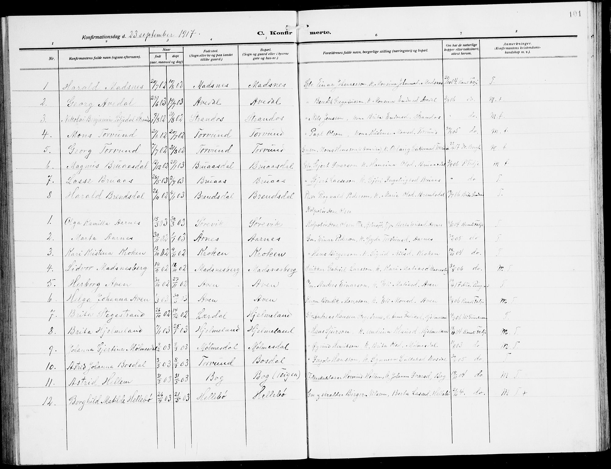 Lavik sokneprestembete, SAB/A-80901: Parish register (copy) no. A 3, 1911-1942, p. 101