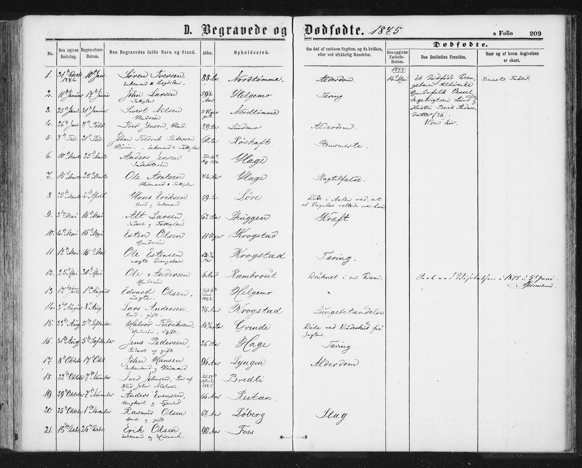 Ministerialprotokoller, klokkerbøker og fødselsregistre - Sør-Trøndelag, SAT/A-1456/692/L1104: Parish register (official) no. 692A04, 1862-1878, p. 209