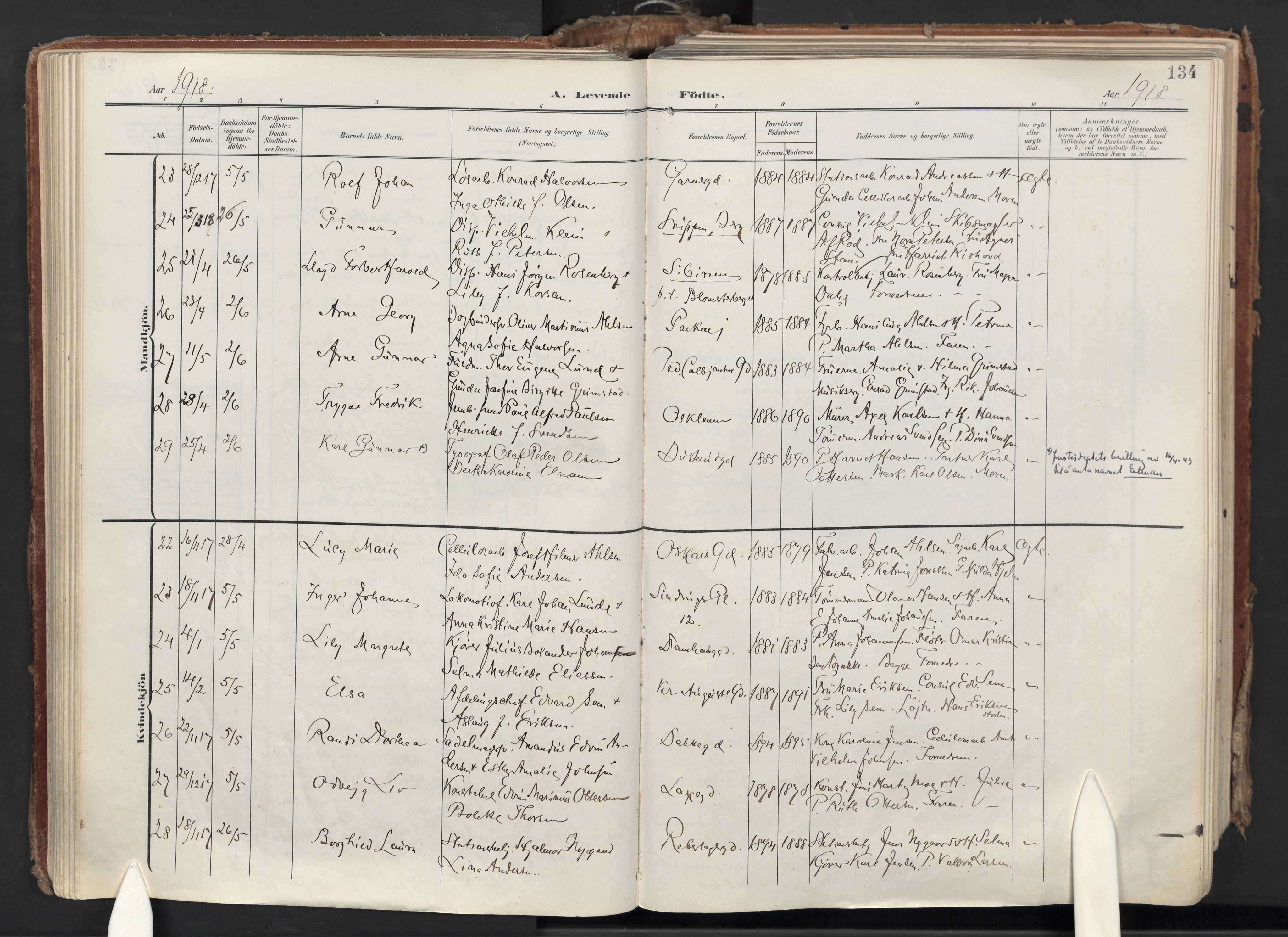 Halden prestekontor Kirkebøker, AV/SAO-A-10909/F/Fa/L0015: Parish register (official) no. I 15, 1907-1925, p. 134