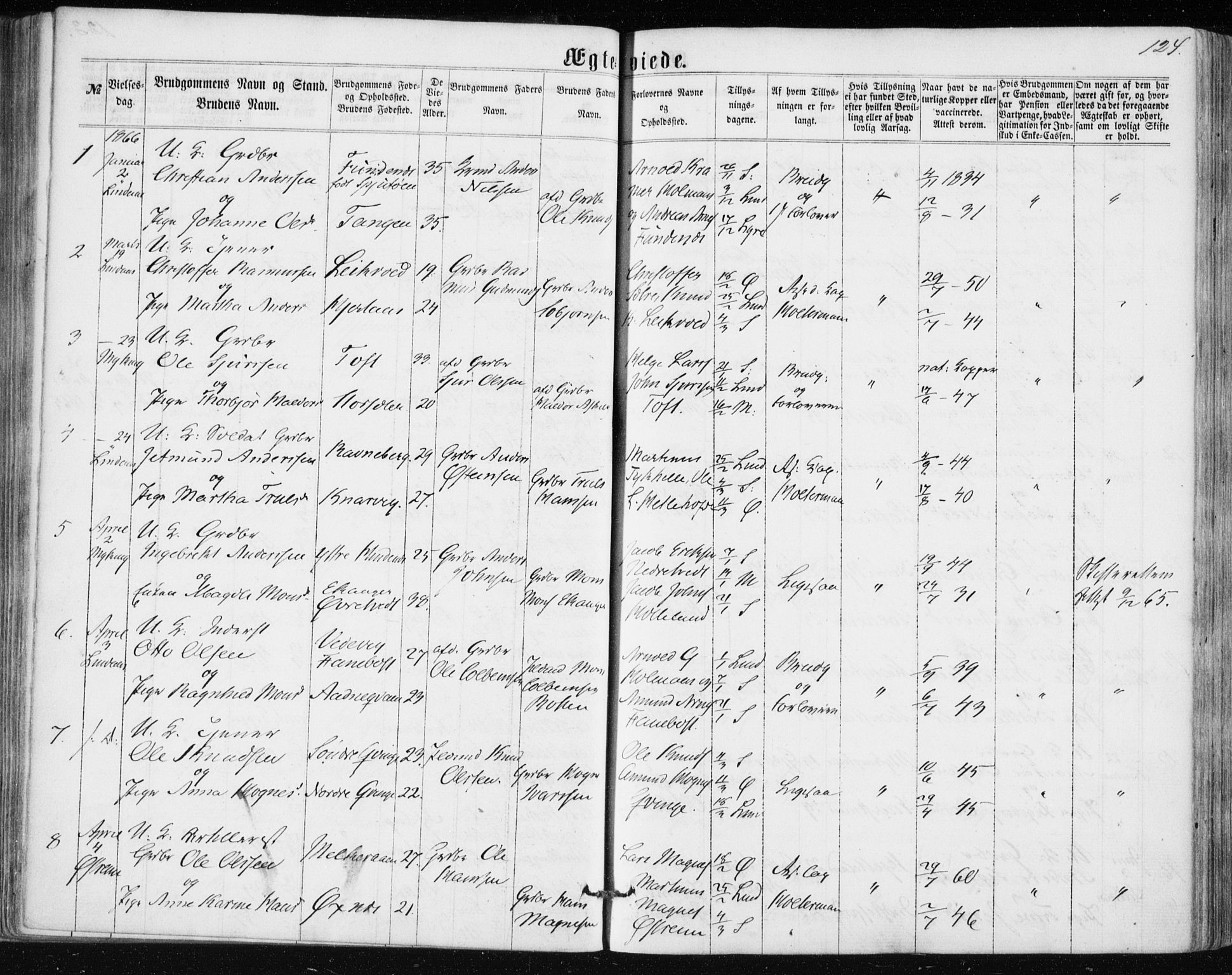 Lindås Sokneprestembete, SAB/A-76701/H/Haa: Parish register (official) no. A 16, 1863-1875, p. 124