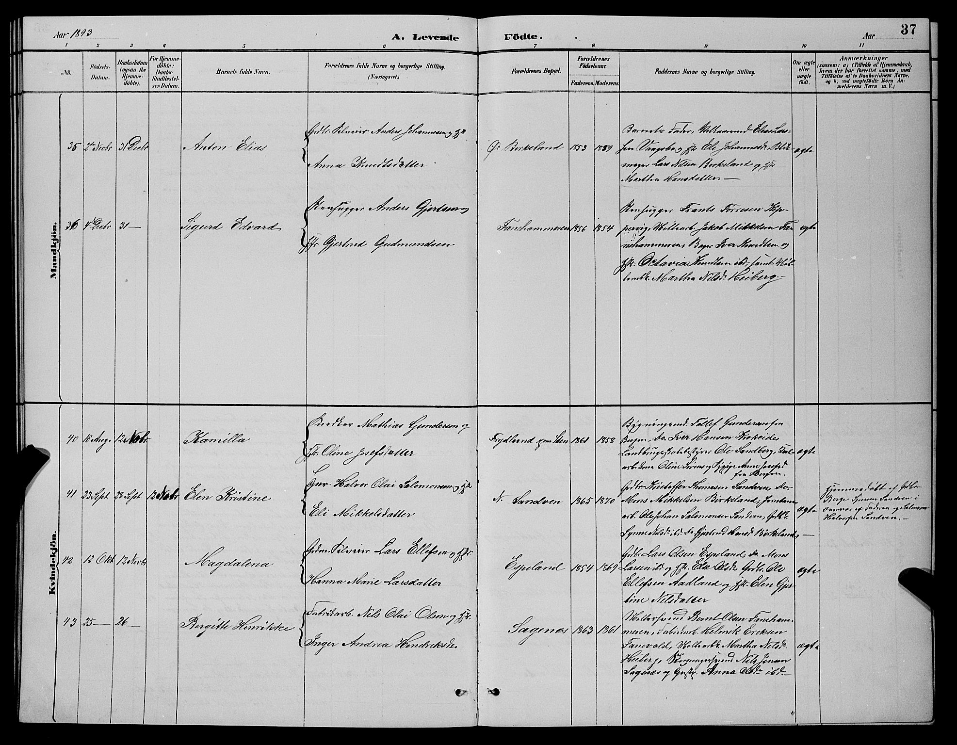 Fana Sokneprestembete, AV/SAB-A-75101/H/Hab/Haba/L0002: Parish register (copy) no. A 2, 1889-1895, p. 37