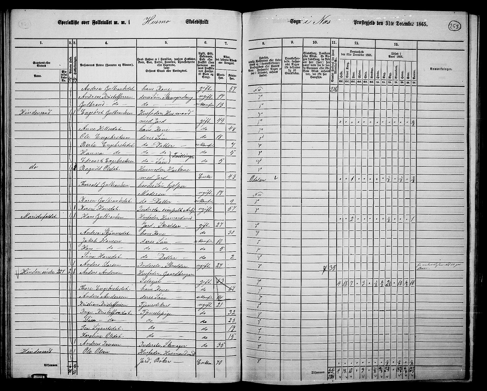 RA, 1865 census for Nes, 1865, p. 236