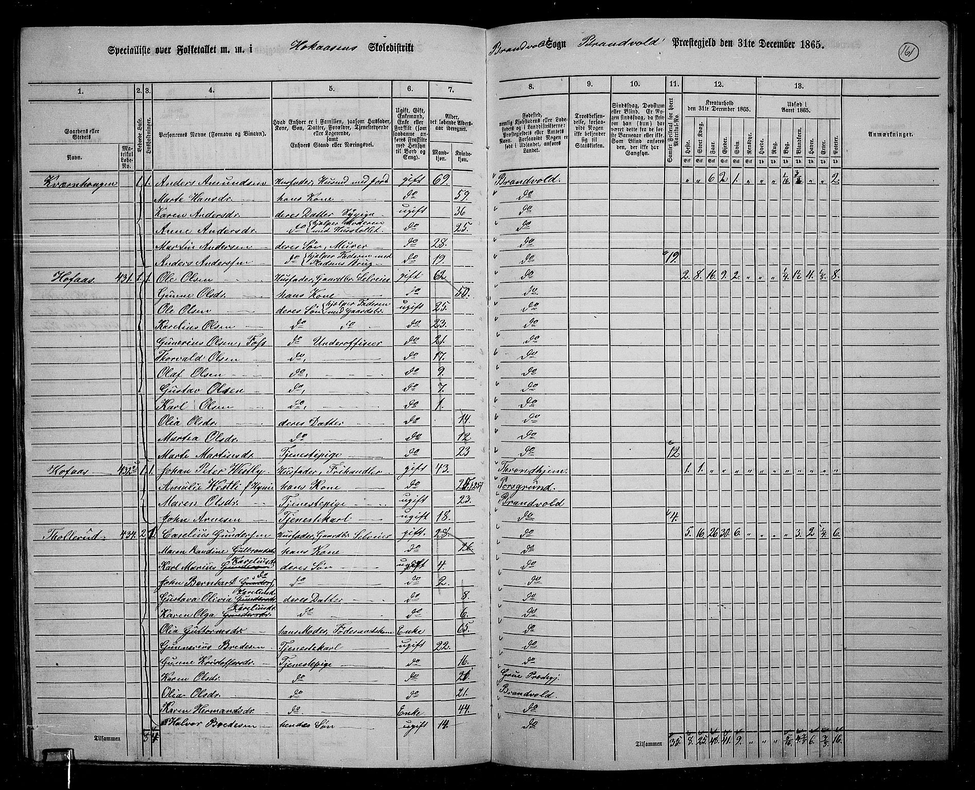 RA, 1865 census for Brandval, 1865, p. 138