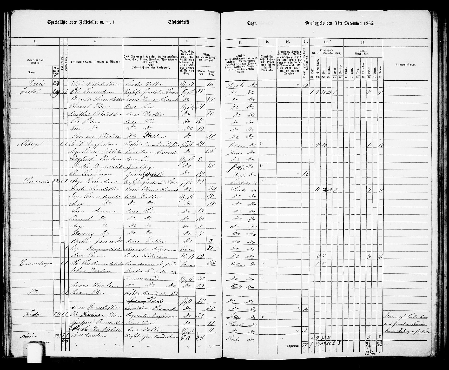 RA, 1865 census for Sand, 1865, p. 43