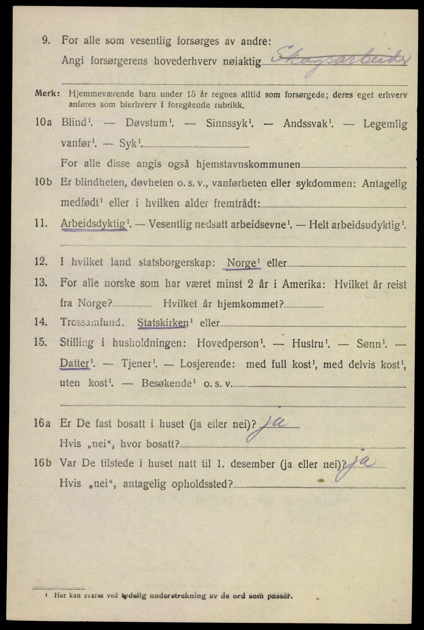 SAKO, 1920 census for Krødsherad, 1920, p. 1158