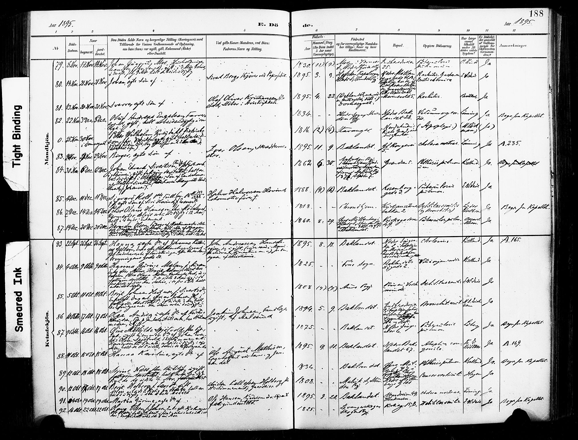 Ministerialprotokoller, klokkerbøker og fødselsregistre - Sør-Trøndelag, AV/SAT-A-1456/604/L0198: Parish register (official) no. 604A19, 1893-1900, p. 188