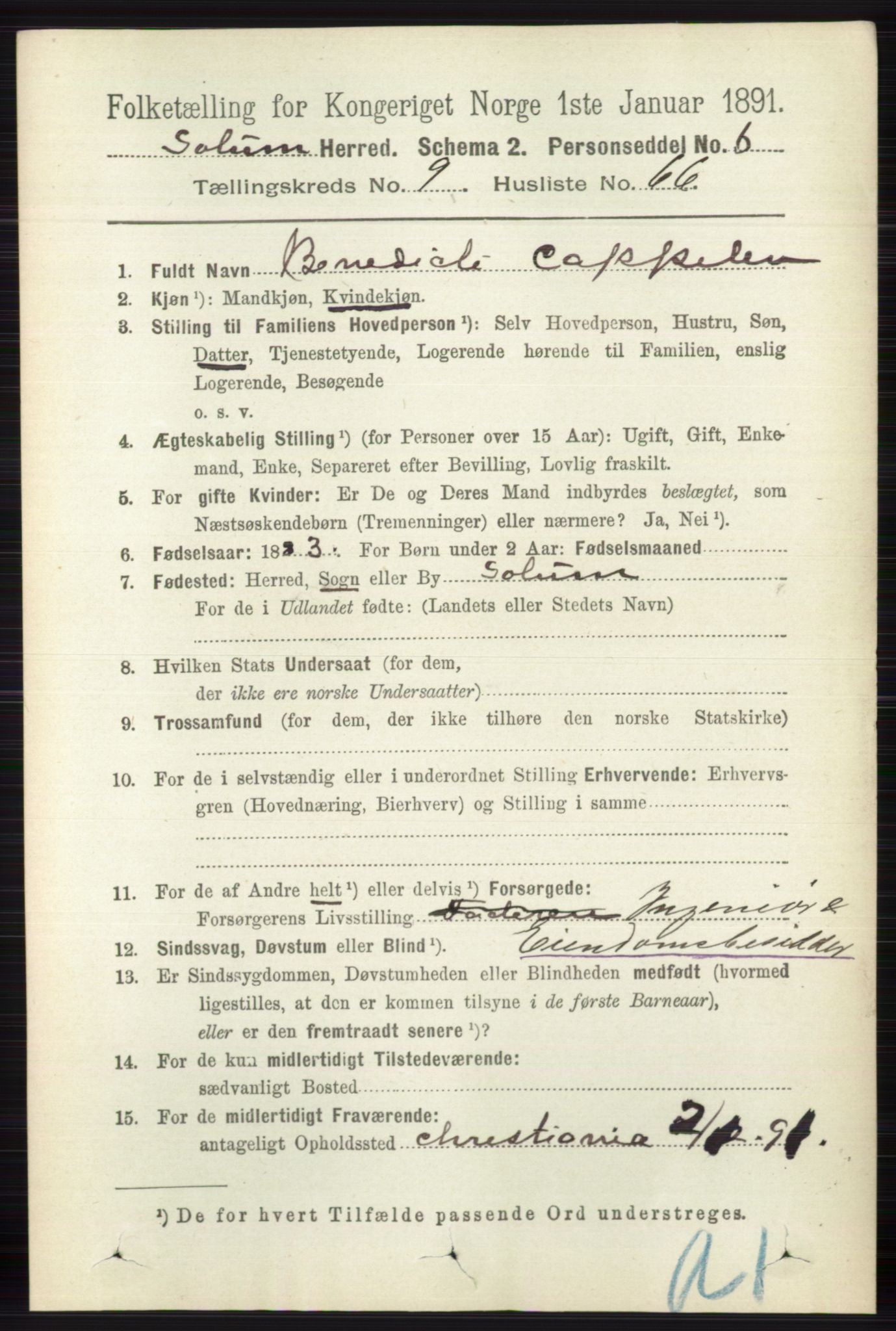 RA, 1891 census for 0818 Solum, 1891, p. 2424