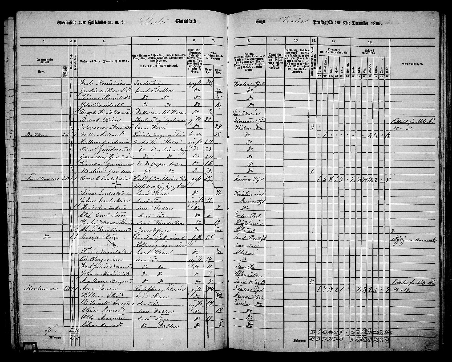 RA, 1865 census for Våler, 1865, p. 100