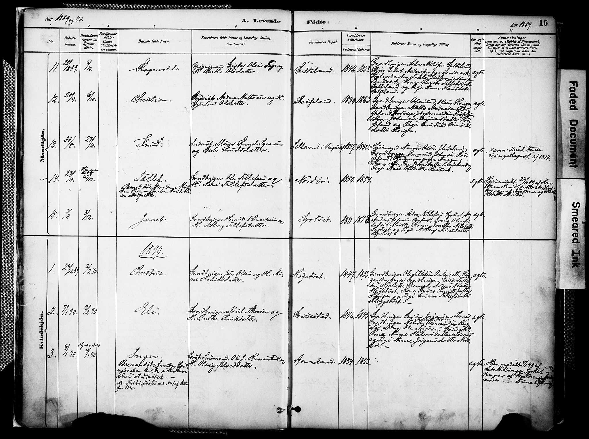 Evje sokneprestkontor, AV/SAK-1111-0008/F/Fa/Faa/L0007: Parish register (official) no. A 7, 1884-1909, p. 15