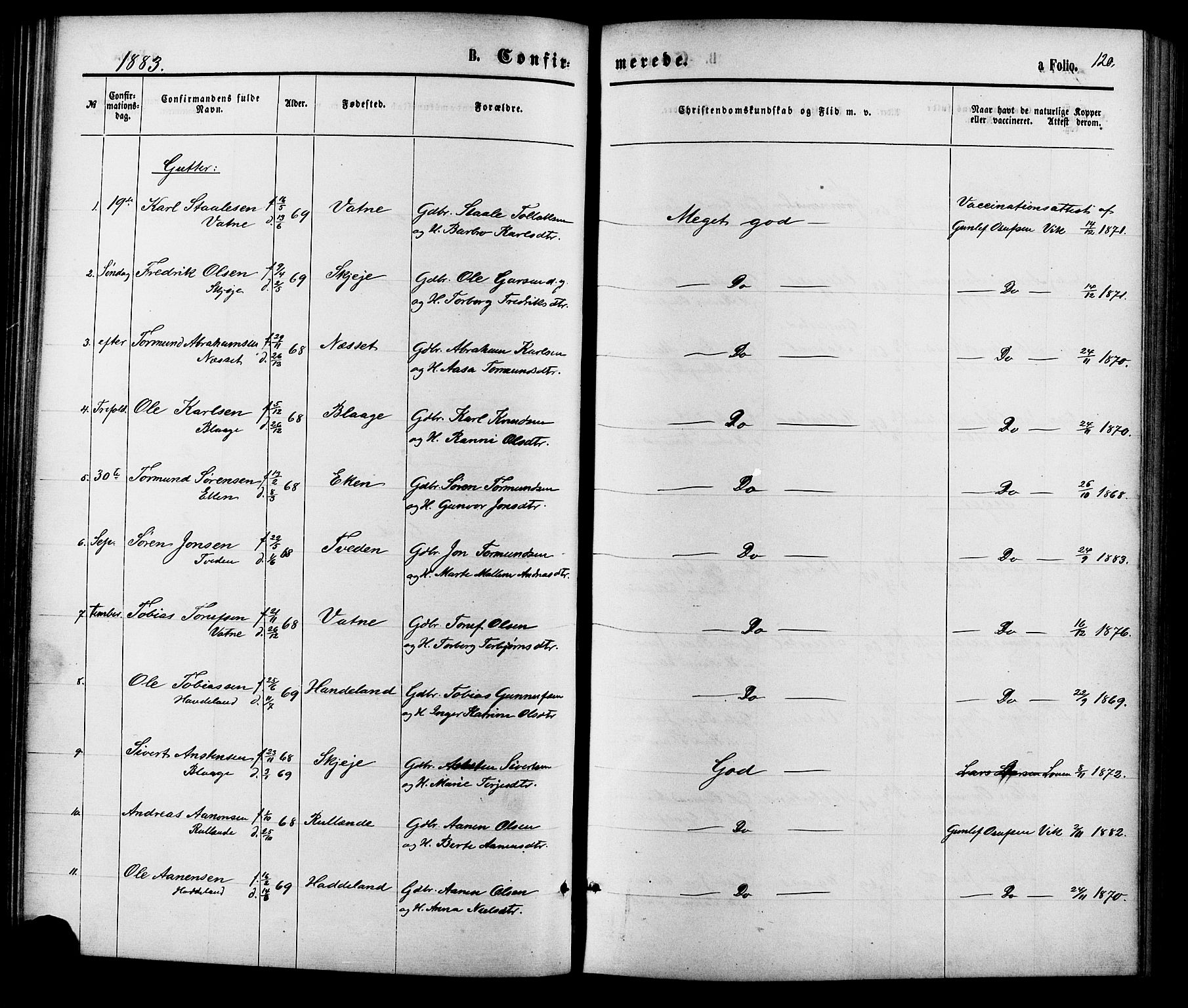 Hægebostad sokneprestkontor, SAK/1111-0024/F/Fa/Fab/L0003: Parish register (official) no. A 3, 1872-1886, p. 120