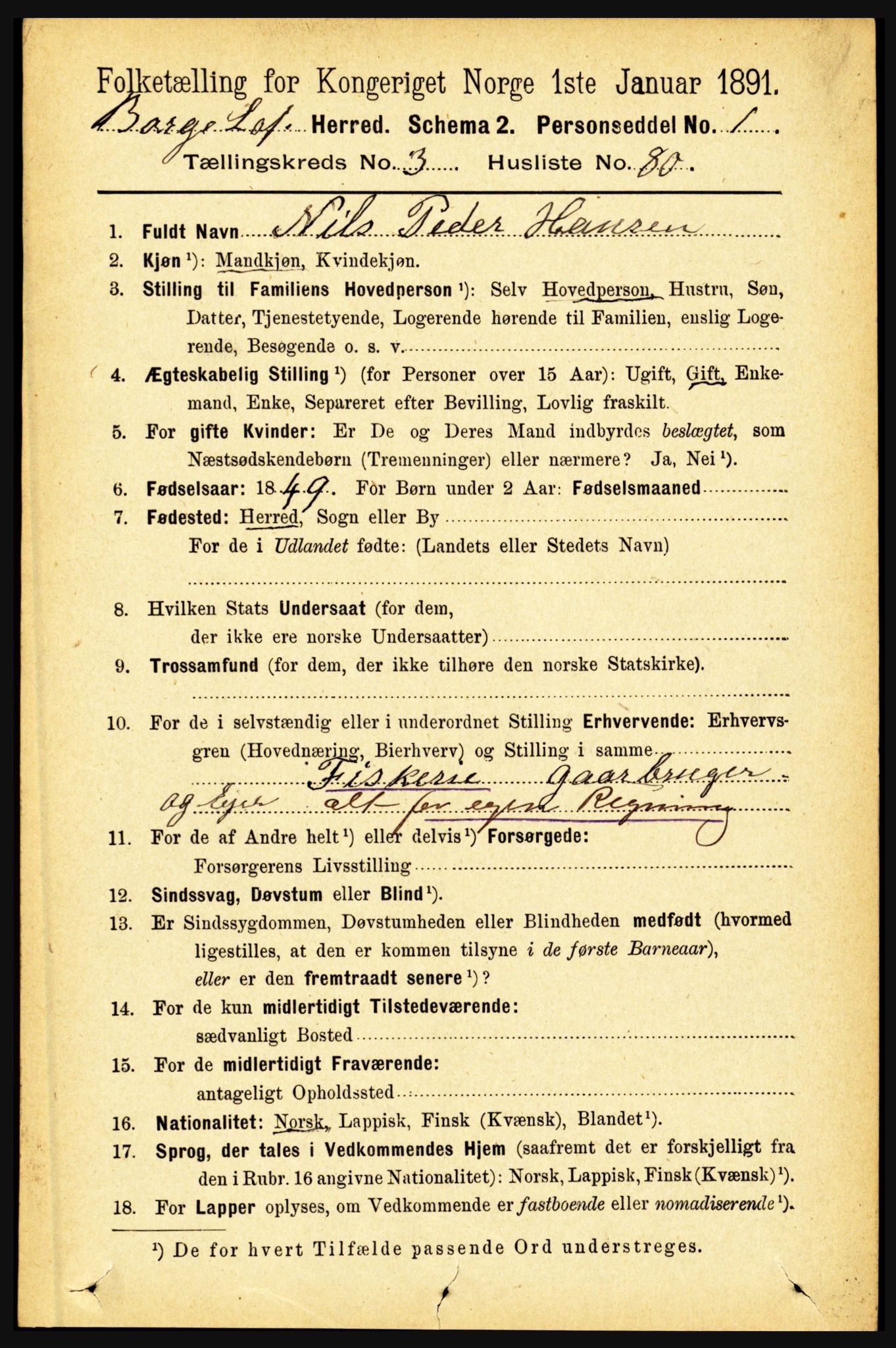 RA, 1891 census for 1862 Borge, 1891, p. 2011