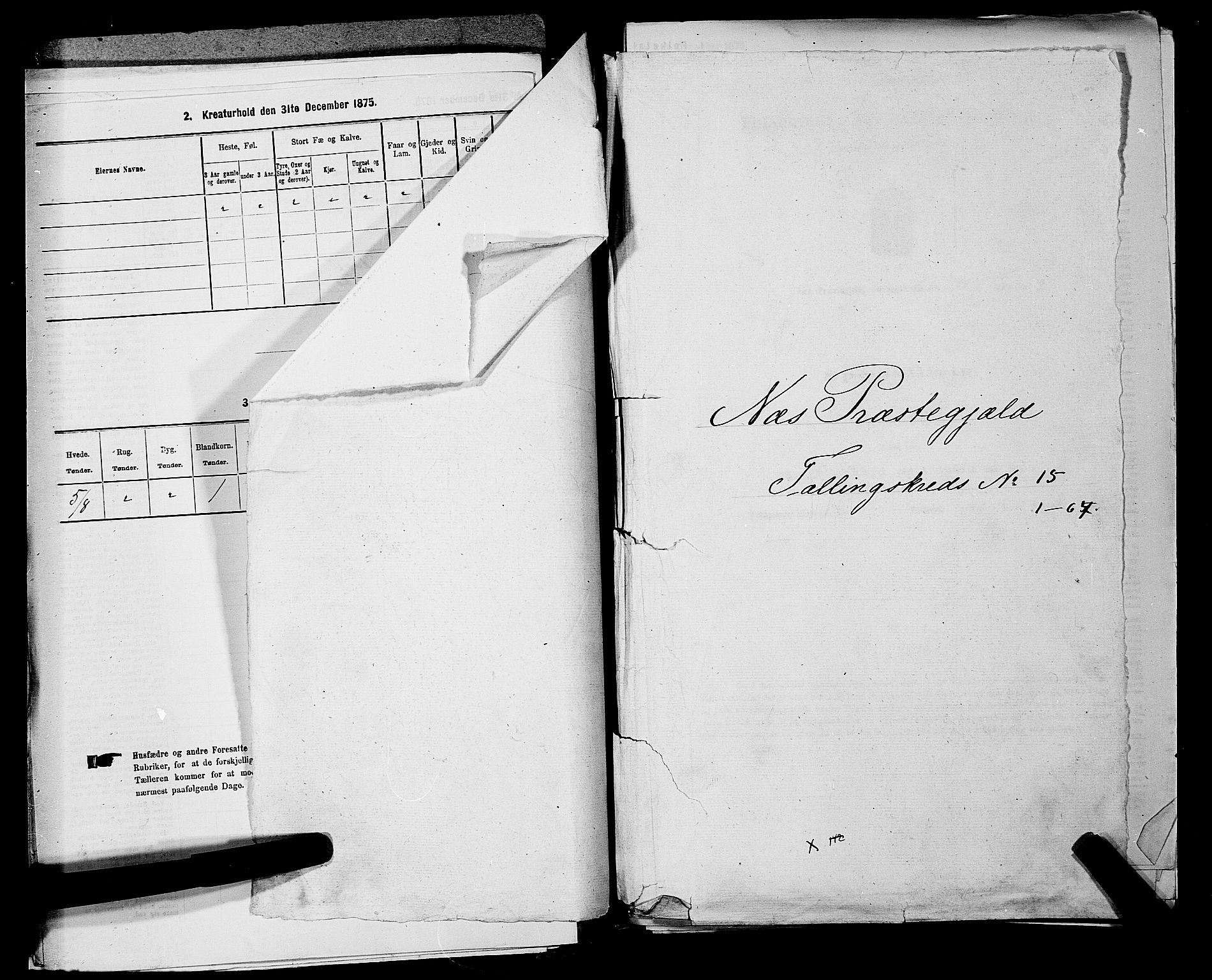 RA, 1875 census for 0236P Nes, 1875, p. 2698