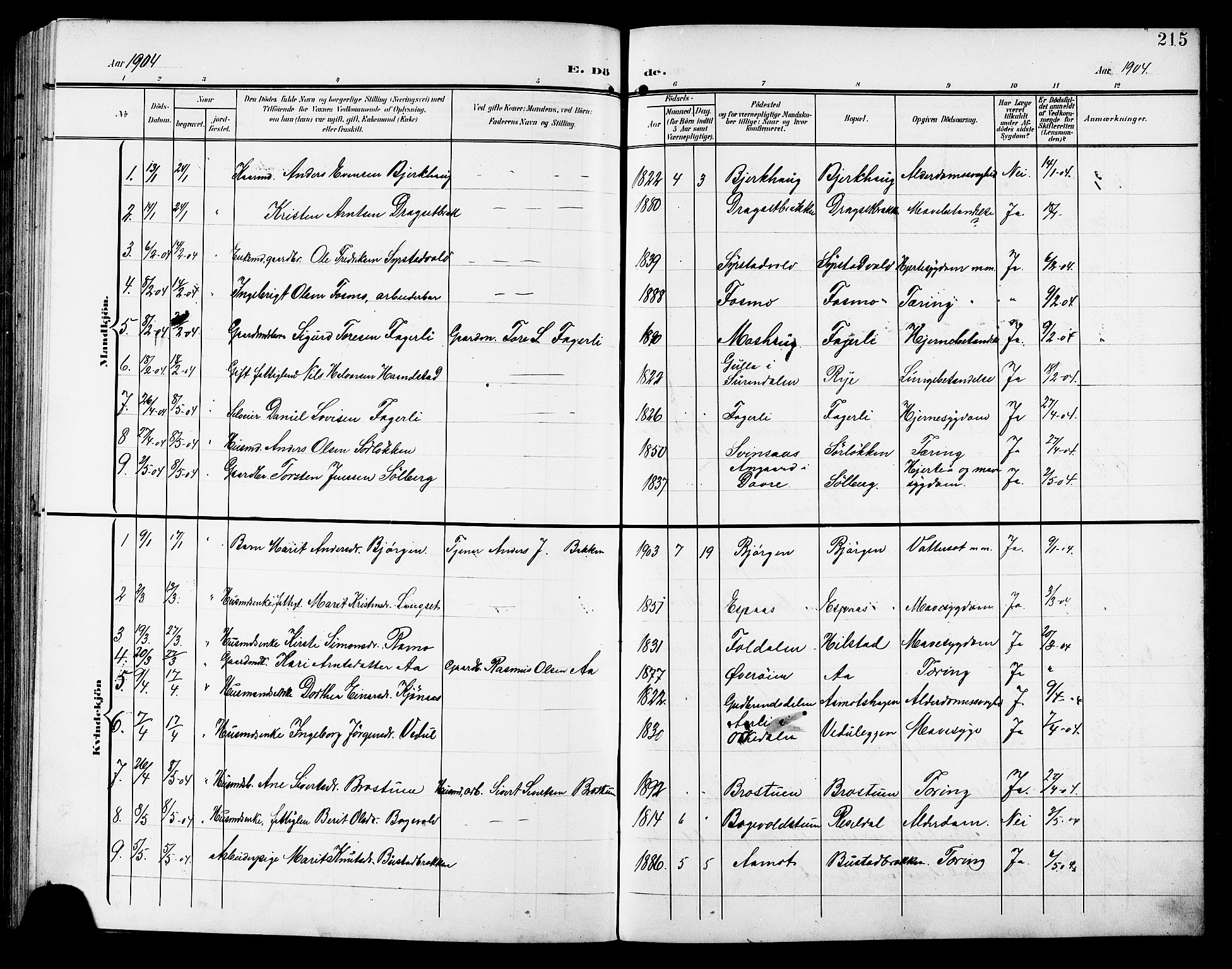 Ministerialprotokoller, klokkerbøker og fødselsregistre - Sør-Trøndelag, SAT/A-1456/672/L0864: Parish register (copy) no. 672C03, 1902-1914, p. 215