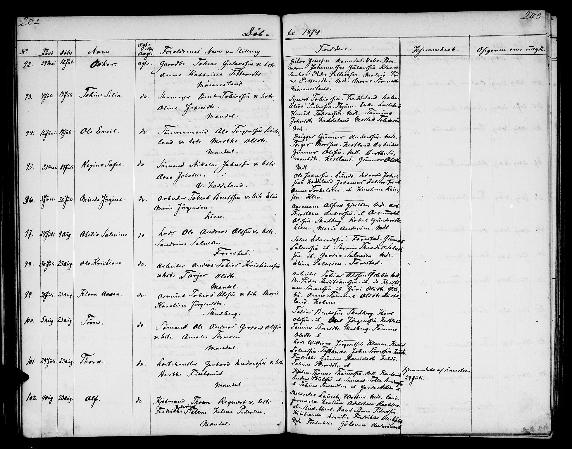 Mandal sokneprestkontor, AV/SAK-1111-0030/F/Fb/Fba/L0009: Parish register (copy) no. B 3, 1867-1877, p. 202-203