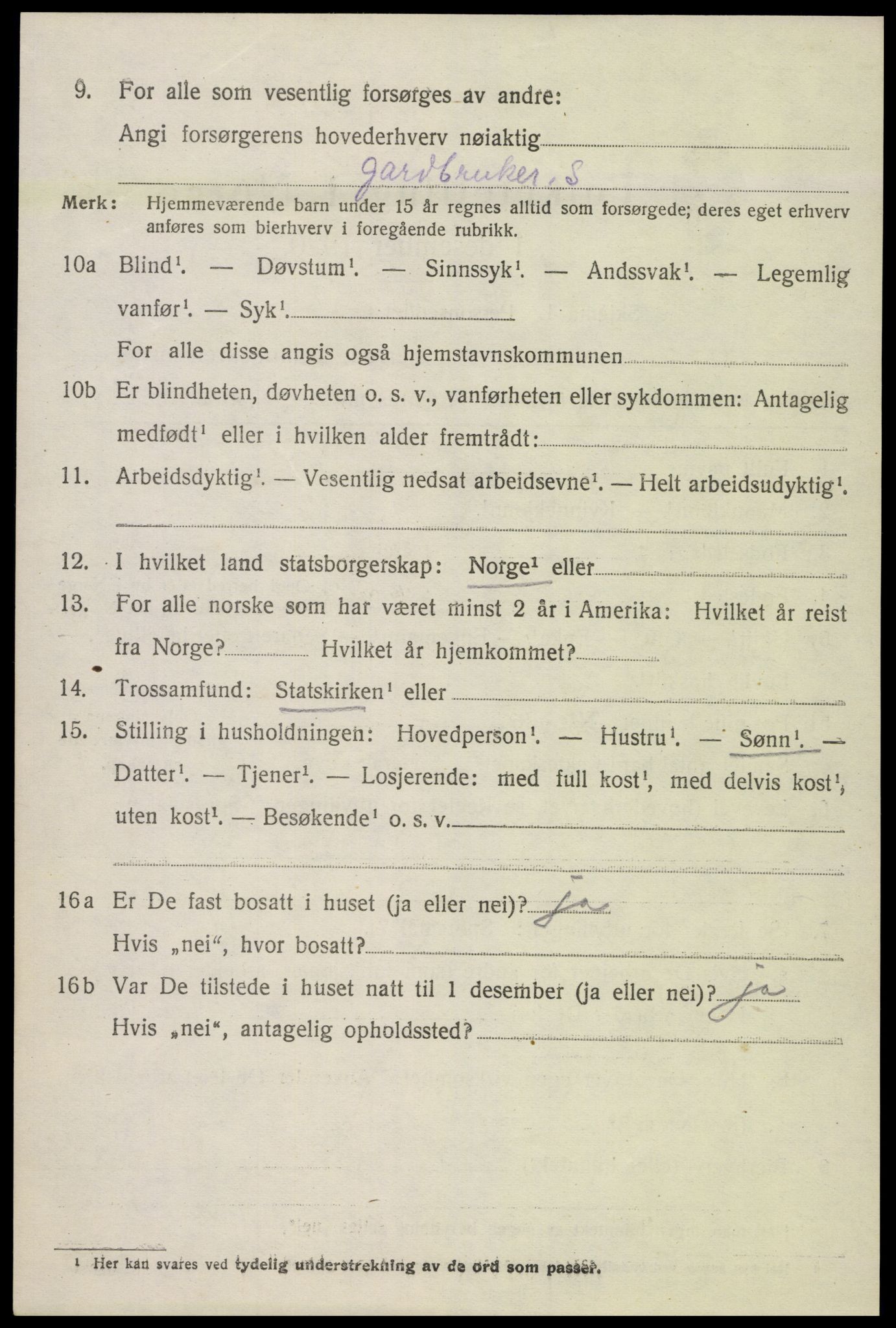 SAK, 1920 census for Hornnes, 1920, p. 3256